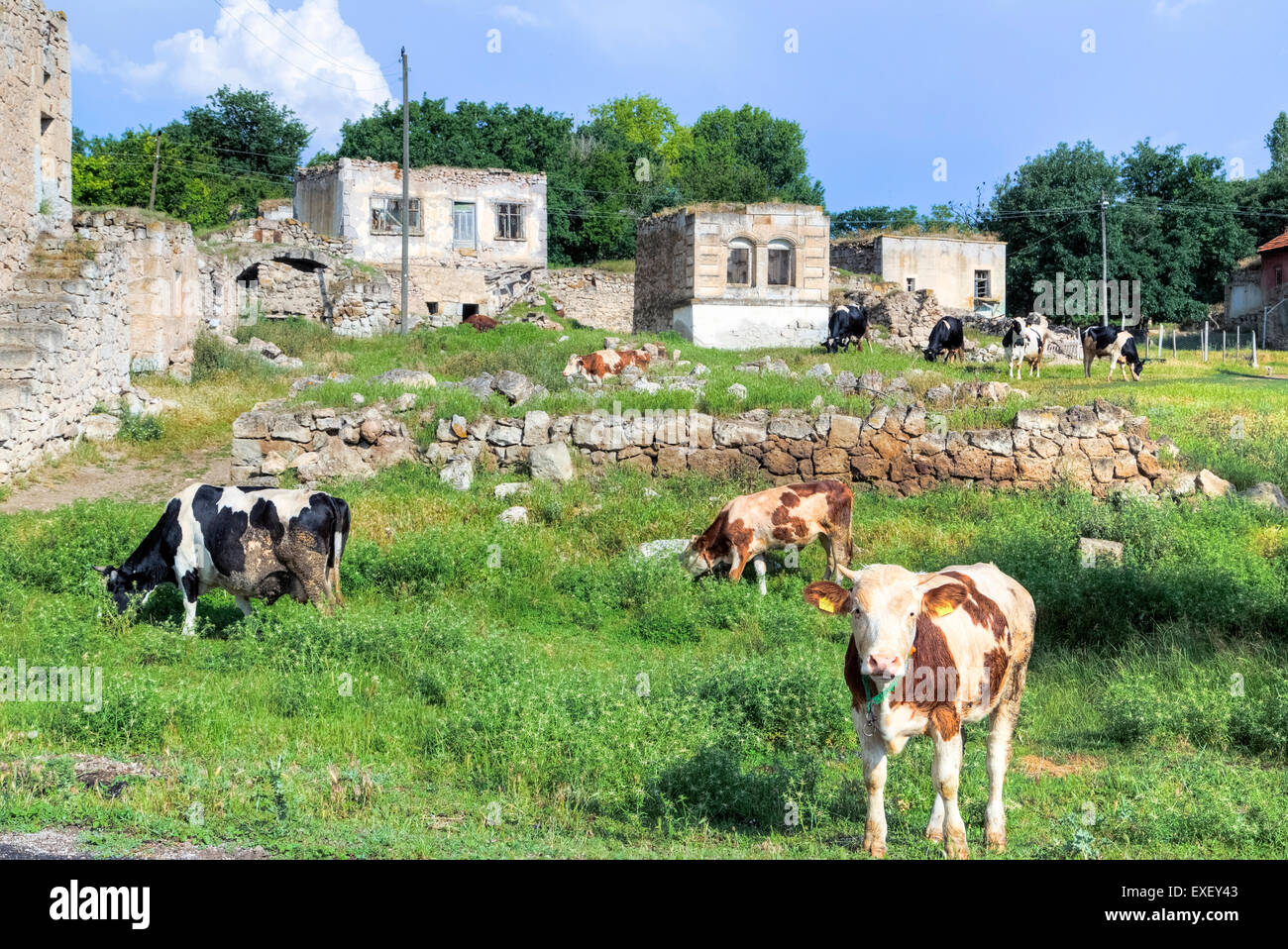 Les régions rurales de l'Anatolie, Agzikarahan, Konya ; Aksaray ; Anatolie, Turquie Banque D'Images