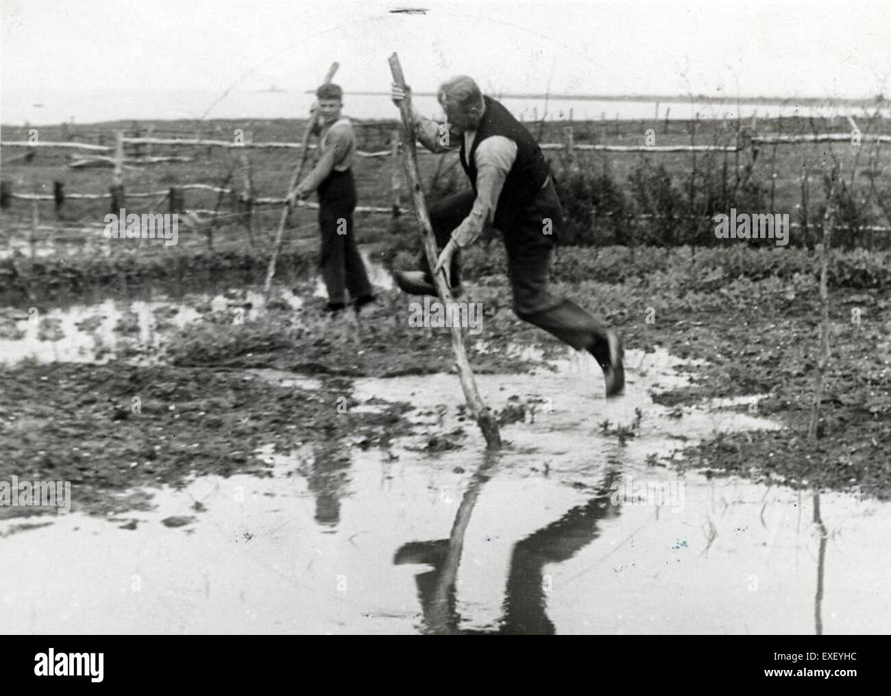 Cette image historique représente une scène où une personne traverse un champ inondé en utilisant une technique de voûte à poteau. La photo capture la lutte contre les éléments de la nature, mettant en évidence une solution innovante pour naviguer sur un terrain engorgé d’eau. Banque D'Images
