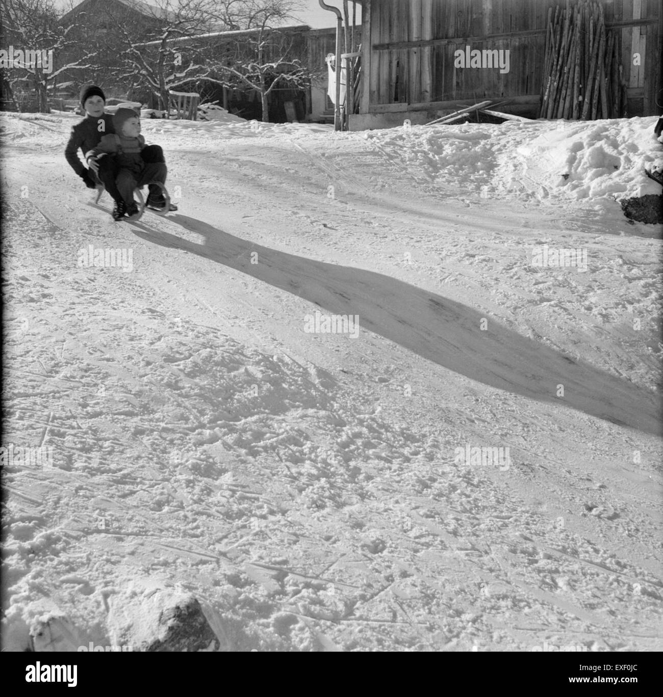 Cette photographie historique capture des garçons en traîneau à Igls, en Autriche, mettant en valeur le passe-temps hivernal traditionnel et l'environnement alpin enneigé de la région. Banque D'Images