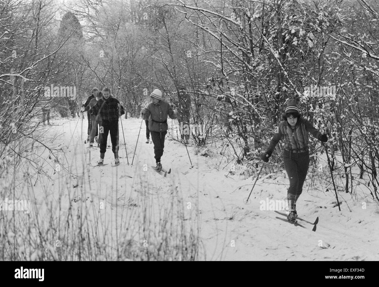 Cette photographie capture une scène de ski de fond dans le Veluwe, une région des pays-Bas. L’activité présente le sport d’hiver dans le paysage naturel du Veluwe. Banque D'Images