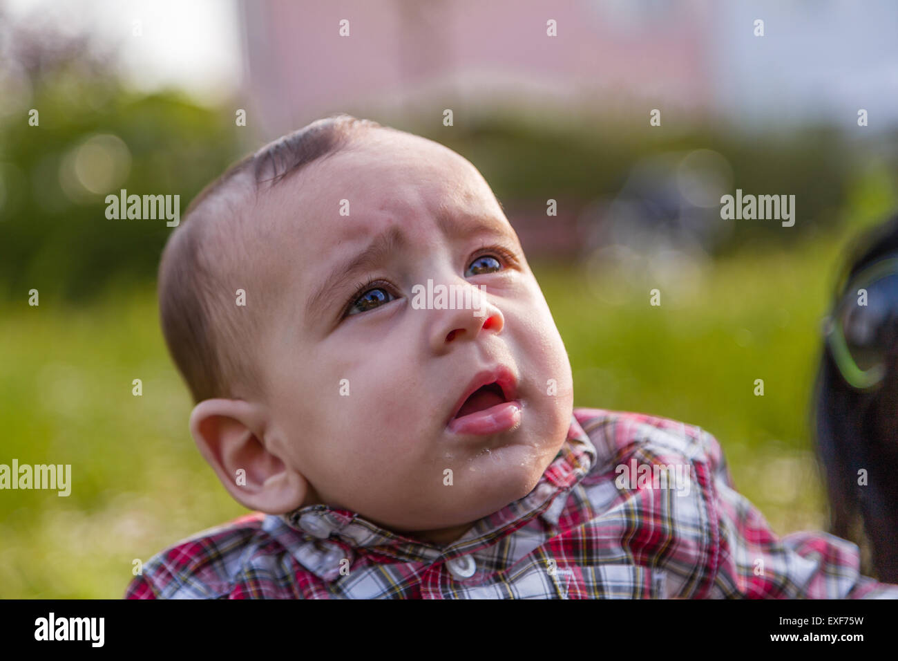Mignon Bebe De 6 Mois Avec Les Cheveux Brun Clair En Chemise A Carreaux Rouge Et Beige Pantalons Est Enorme Photo Stock Alamy