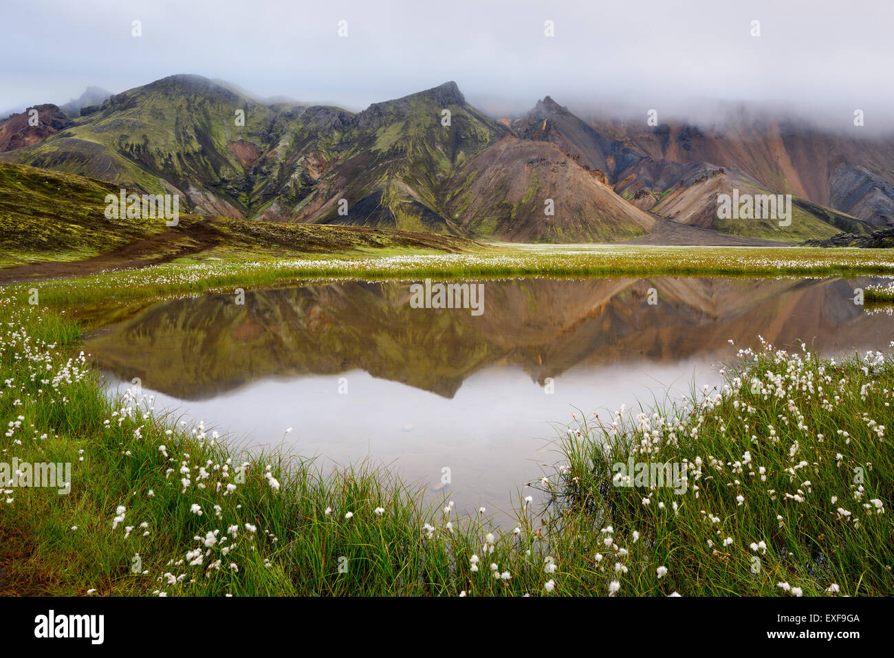 Landmannalaugar, hautes terres d'Islande Banque D'Images