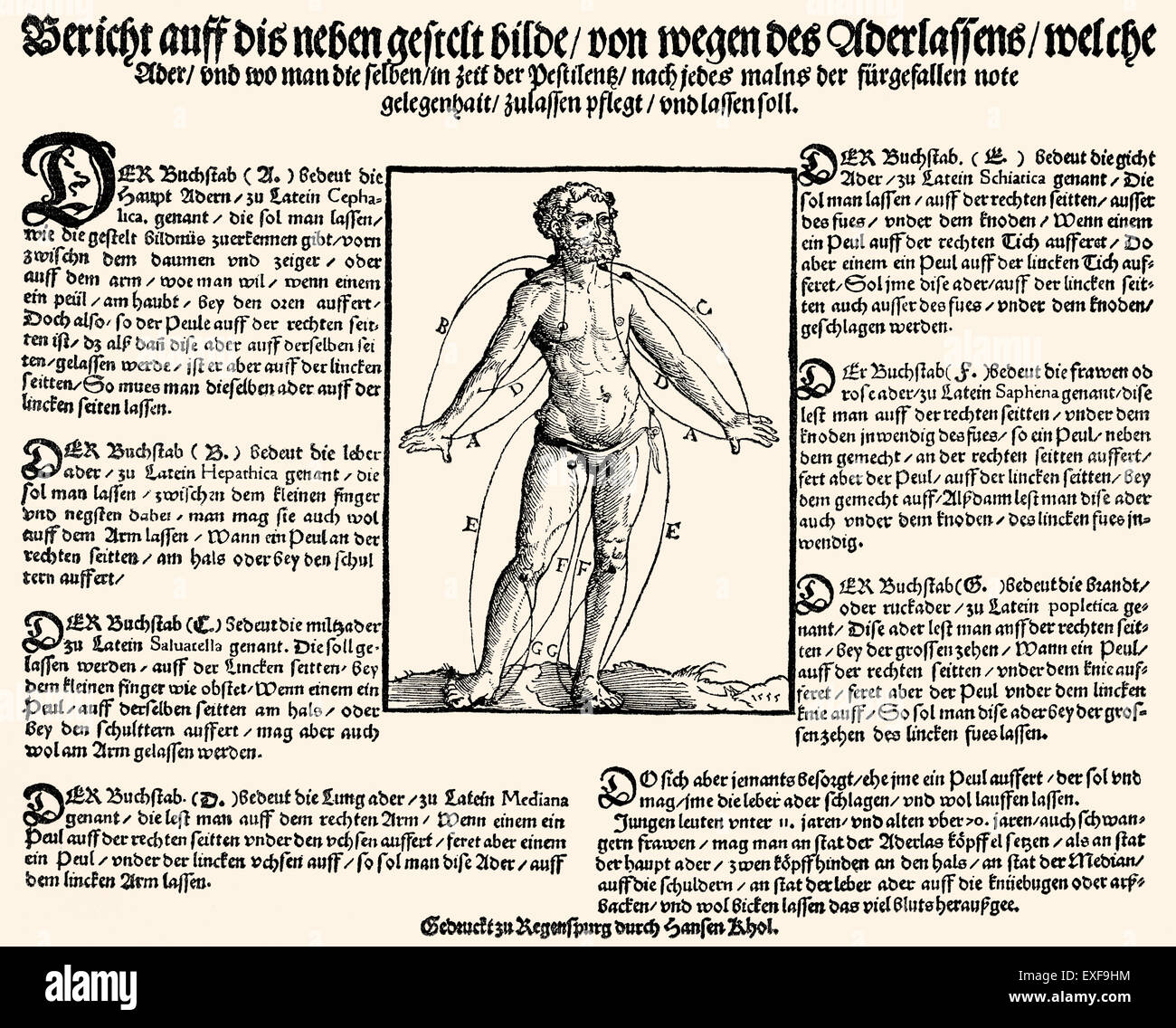 Traitement médecine, appuyez sur la vie de bord pour traiter la peste, gravure sur bois, 1555, Banque D'Images