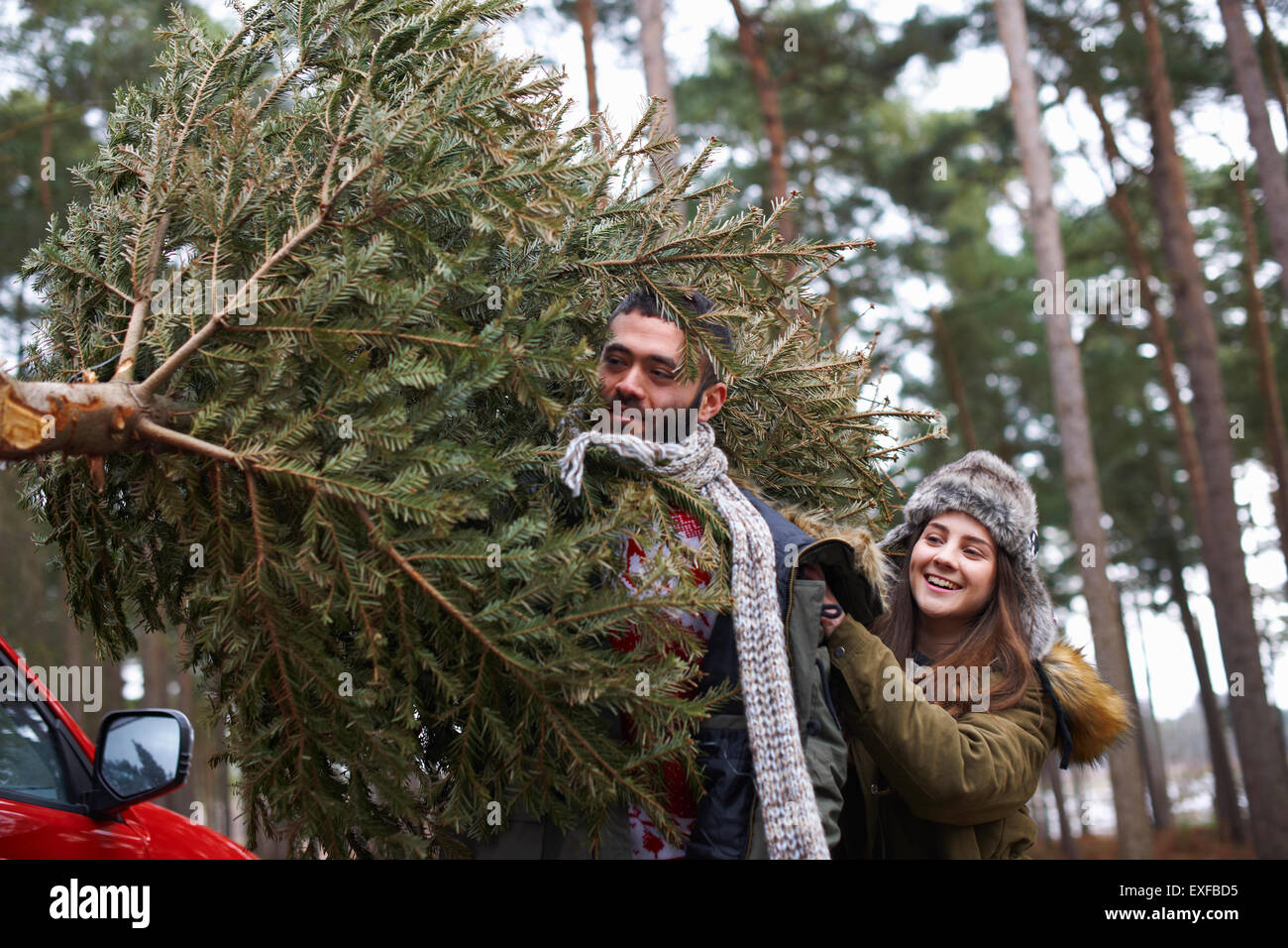 Jeune couple carrying Christmas Tree sur les épaules dans le parc automobile Banque D'Images