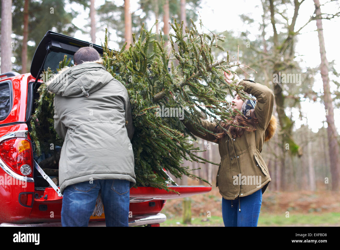 Jeune couple dans l'arbre de Noël de levage car boot Banque D'Images