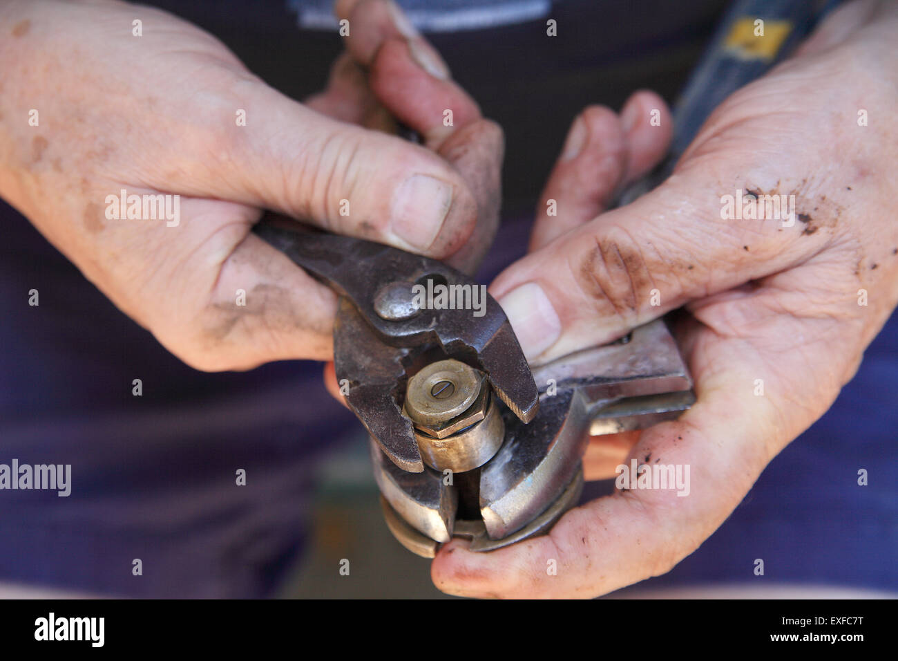 Un homme avec les mains boueuses ajuste un boulon sur une tête pour une pelouse. Banque D'Images