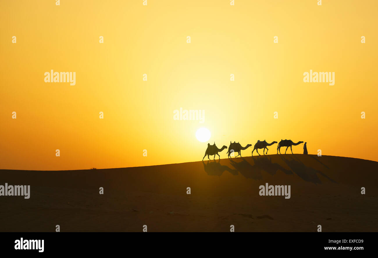 Caravane de chameaux dans le désert au coucher du soleil, Dubaï, Émirats Arabes Unis Banque D'Images