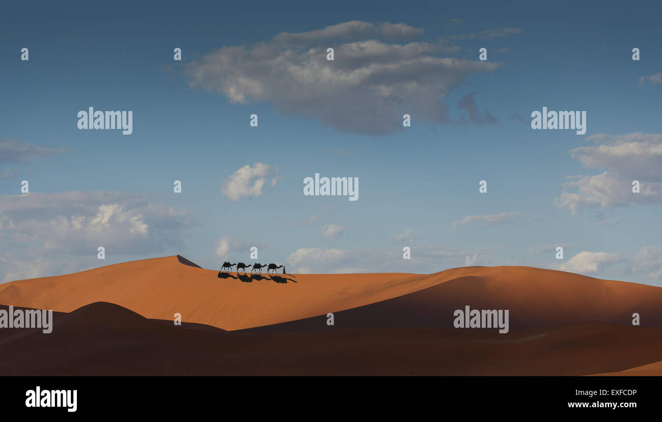 Caravane de chameaux sur l'horizon du désert, Dubaï, Émirats Arabes Unis Banque D'Images