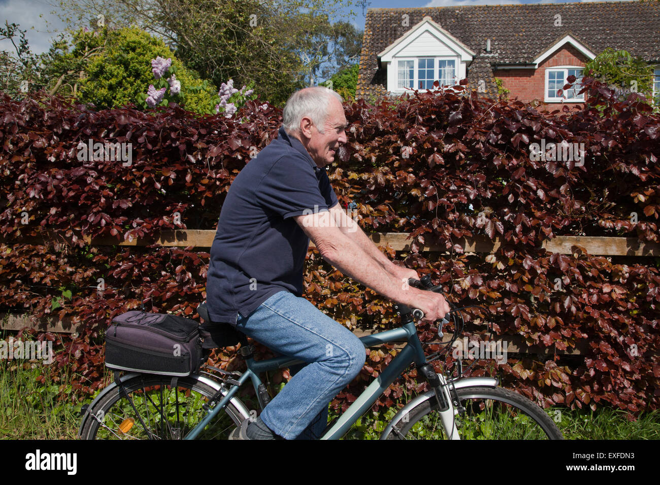 Senior man riding bike Banque D'Images