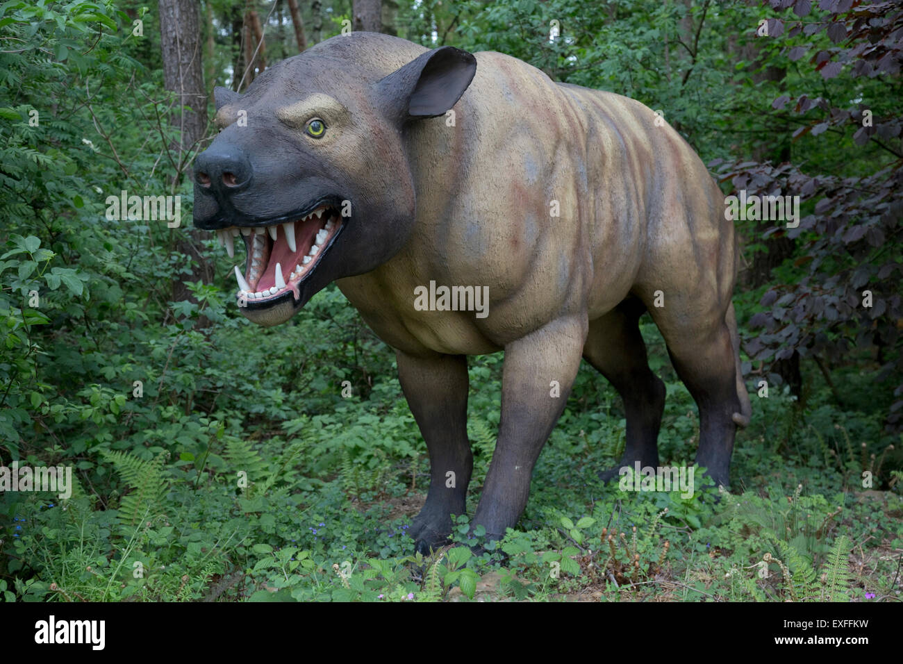 Hyaenodon une espèce de mammifère carnivore de l'Eocène Dinosaurier Park Allemagne Banque D'Images