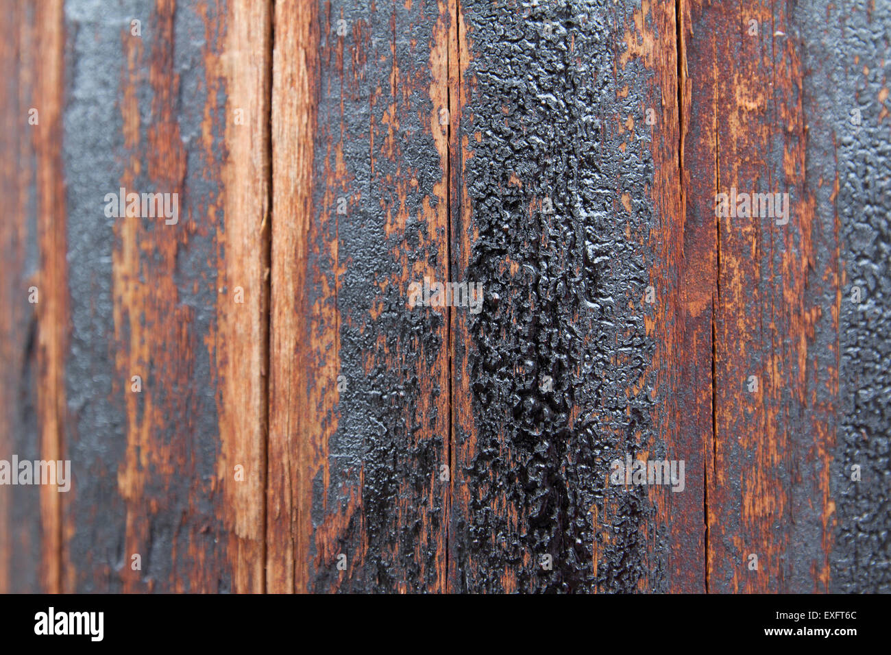 Image libre: Texture d'une surface en bois sur laquelle se trouve du goudron  d'huile séché