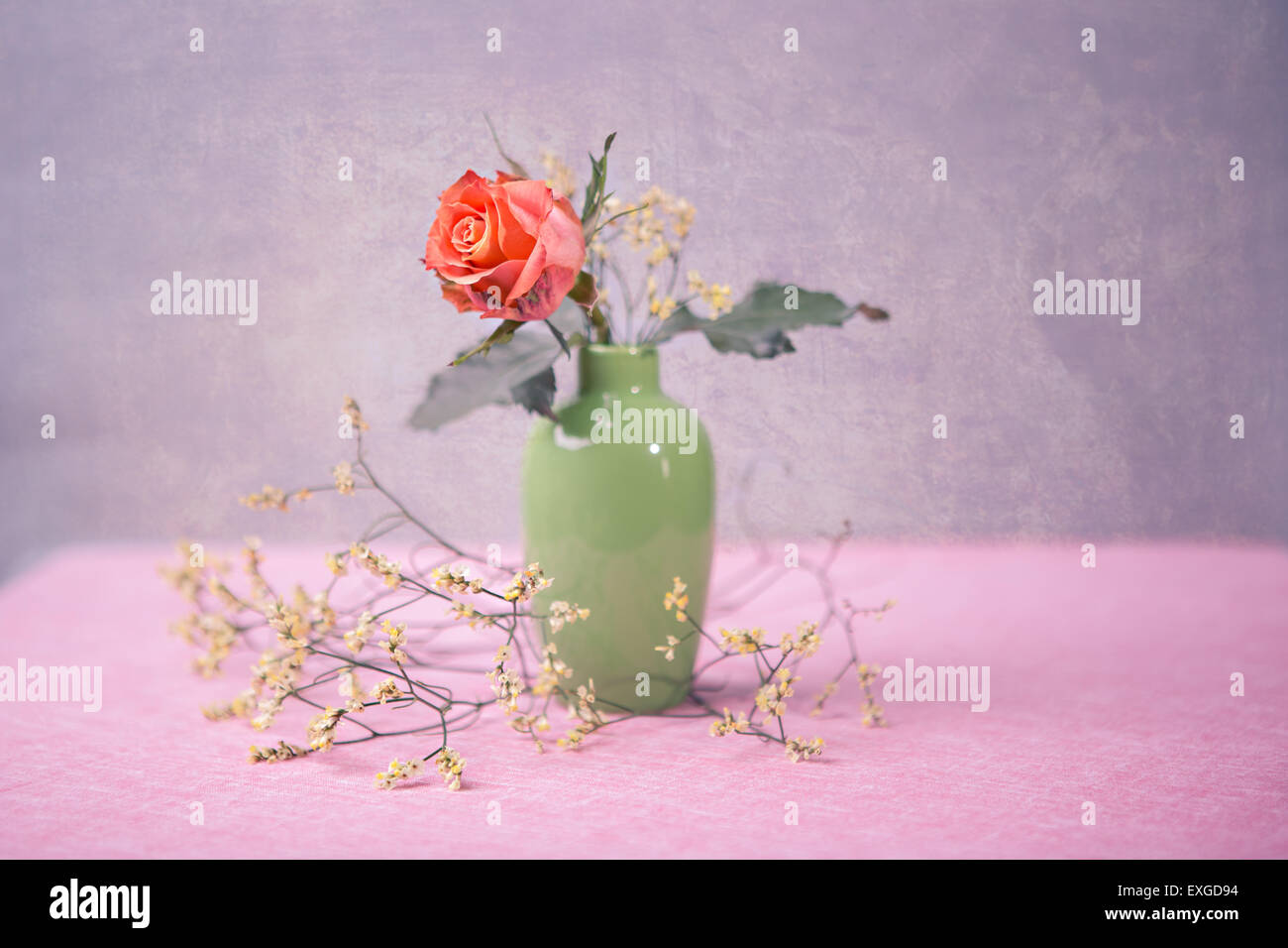 Gros plan d'une rose dans le vase Banque D'Images