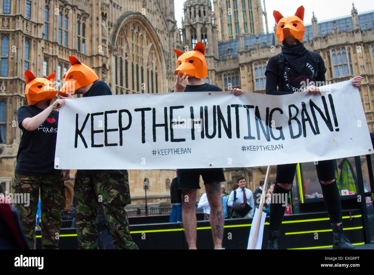 Westminster, Londres, 14 juillet 2015. Des centaines de défenseurs des droits des animaux et les membres de groupes de recherche de se réunir à l'extérieur du Parlement de saboteur de "lutte pour la Fox" que le Parlement discute d'un amendement à la loi interdisant la chasse au renard qui pourrait voir le retour du sport à la campagne britannique. Crédit : Paul Davey/Alamy Live News Banque D'Images