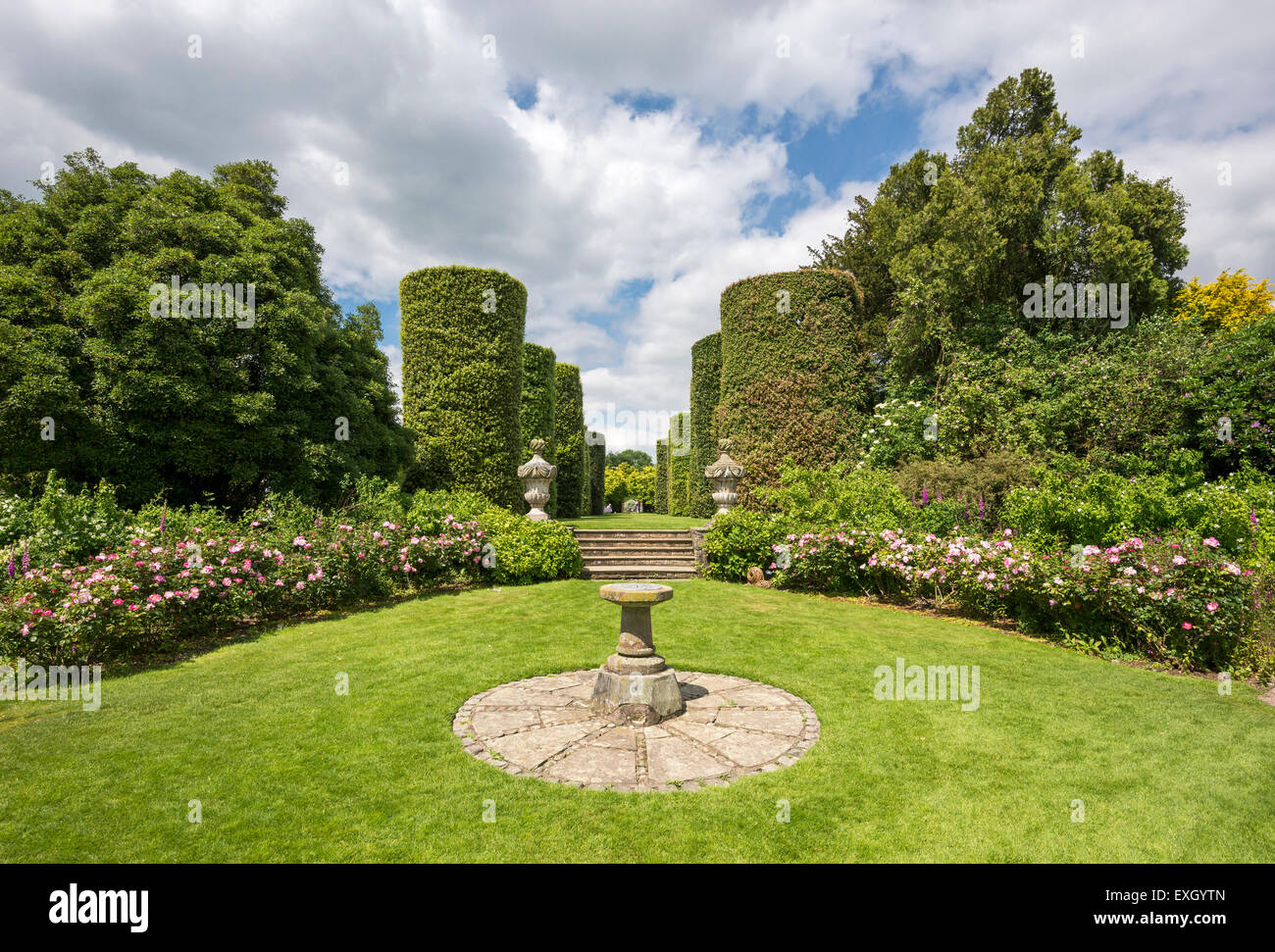 Clippé chênes verts ci-dessous les étapes qui mènent à un jardin de roses avec cadran solaire à Arley Hall gardens dans le Cheshire, en Angleterre. Banque D'Images