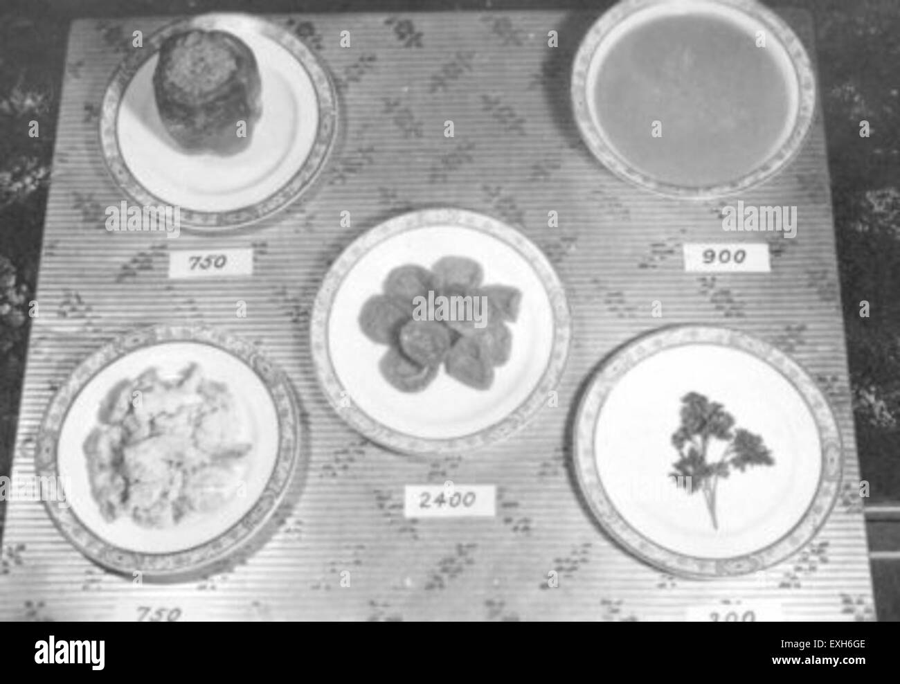 Une photo présentant divers aliments riches en calcium, y compris des abricots, du persil, du poivre, de la soupe, des œufs, et des tomates, préparées dans la communauté mennonite de Goshen, Indiana. L'accent est mis sur la cuisine nutritive. Banque D'Images