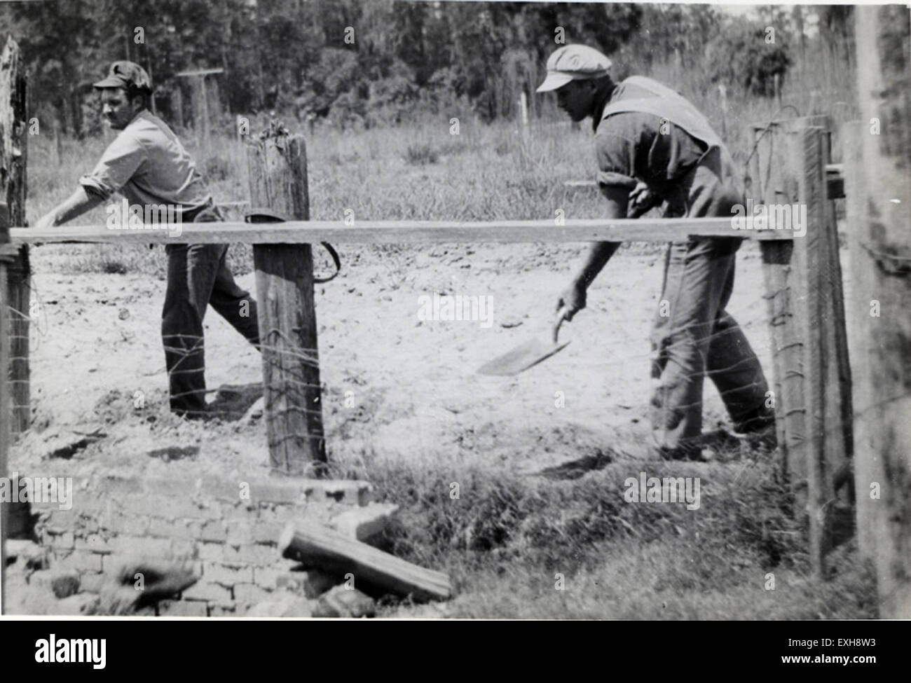 Cette image montre des membres de la fonction publique civile #27 travaillant à Mulberry, en Floride. Leur tâche était de rassembler des prêtres dans le cadre de leur service, un projet qui a soutenu les infrastructures locales pendant la seconde Guerre mondiale. Banque D'Images
