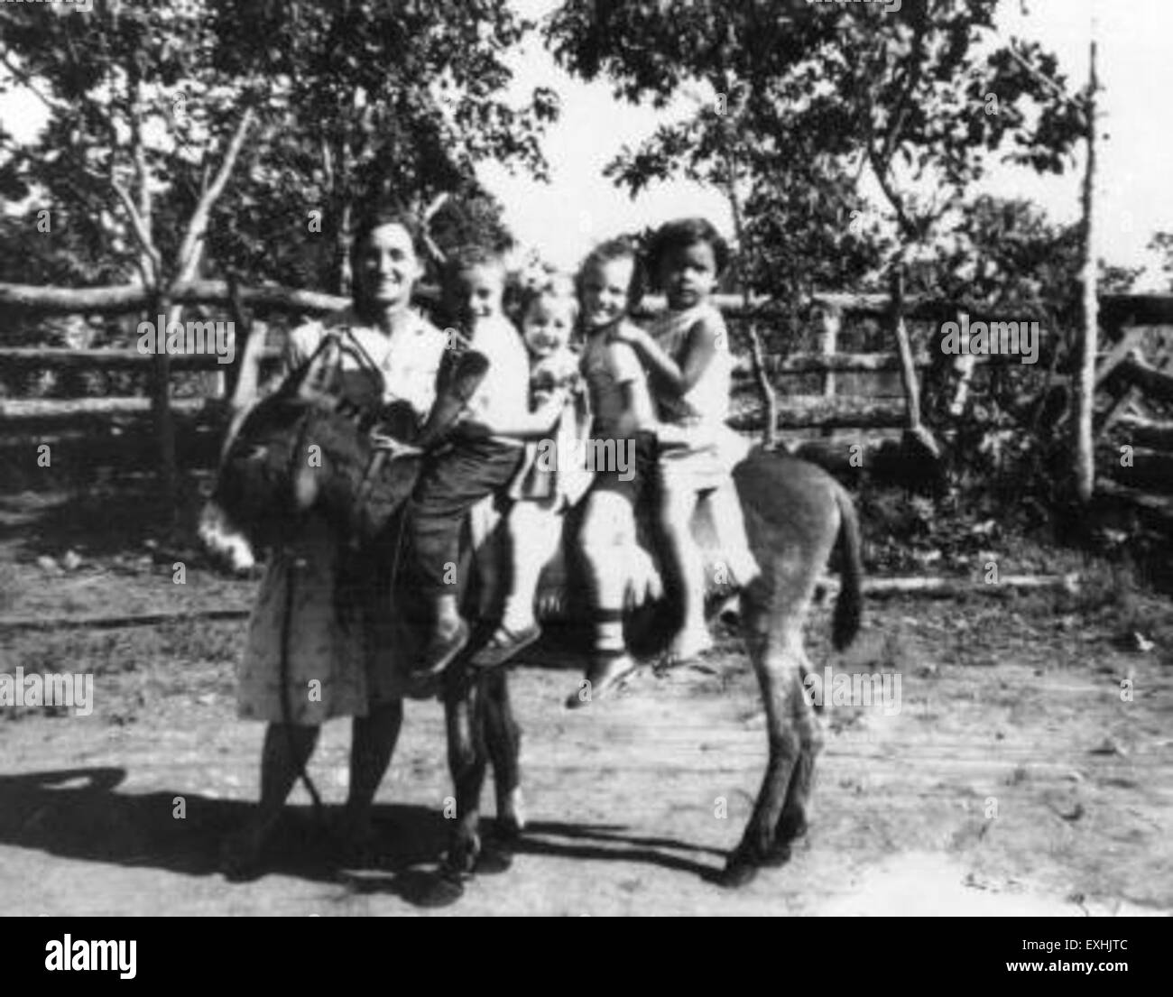 Mildred est photographiée avec des enfants chevauchant un burro, un petit âne couramment utilisé pour le transport. Cette photo capture un moment de la vie rurale, mettant en valeur l'utilisation des burros pour le transport, en particulier dans les zones à terrain difficile. Banque D'Images