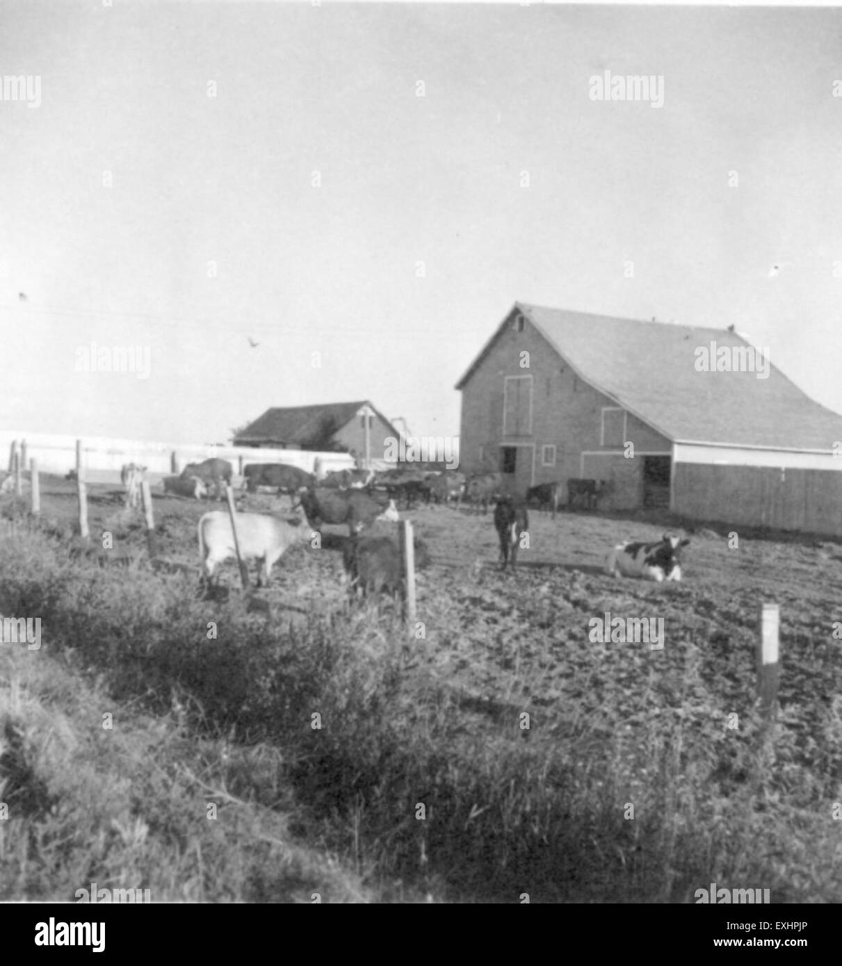 Stirling, en Alberta, est un petit village situé dans le sud de l'Alberta, au Canada. Connu pour son charme rural et son environnement agricole, il offre un aperçu de la paisible campagne canadienne, avec des vues panoramiques et un fort sentiment de communauté. Banque D'Images