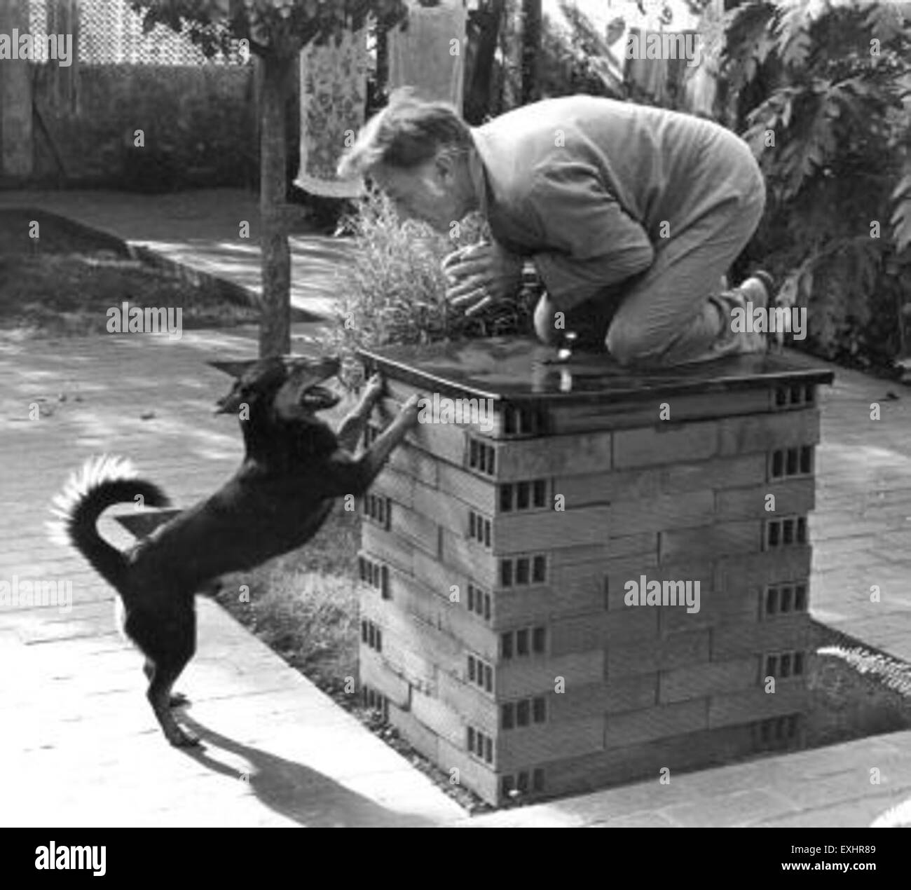 Cette peinture fait partie de la collection Schwarzcumber, qui se concentre sur les animaux sauvages au Brésil, mettant en valeur la flore et la faune à travers la représentation artistique. Banque D'Images