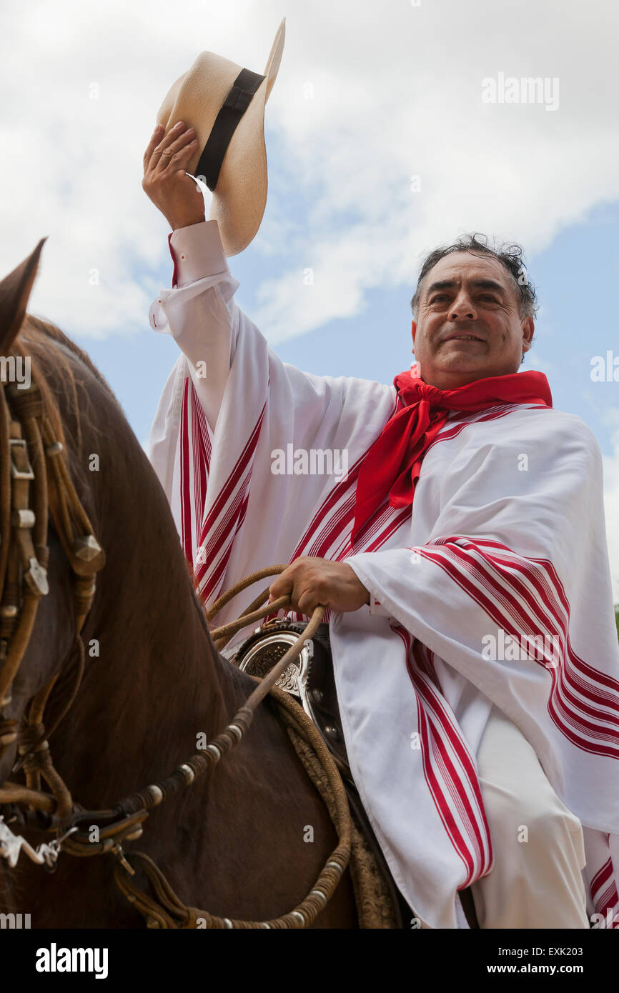 Cheval Paso péruvien rider en costume traditionnel Banque D'Images