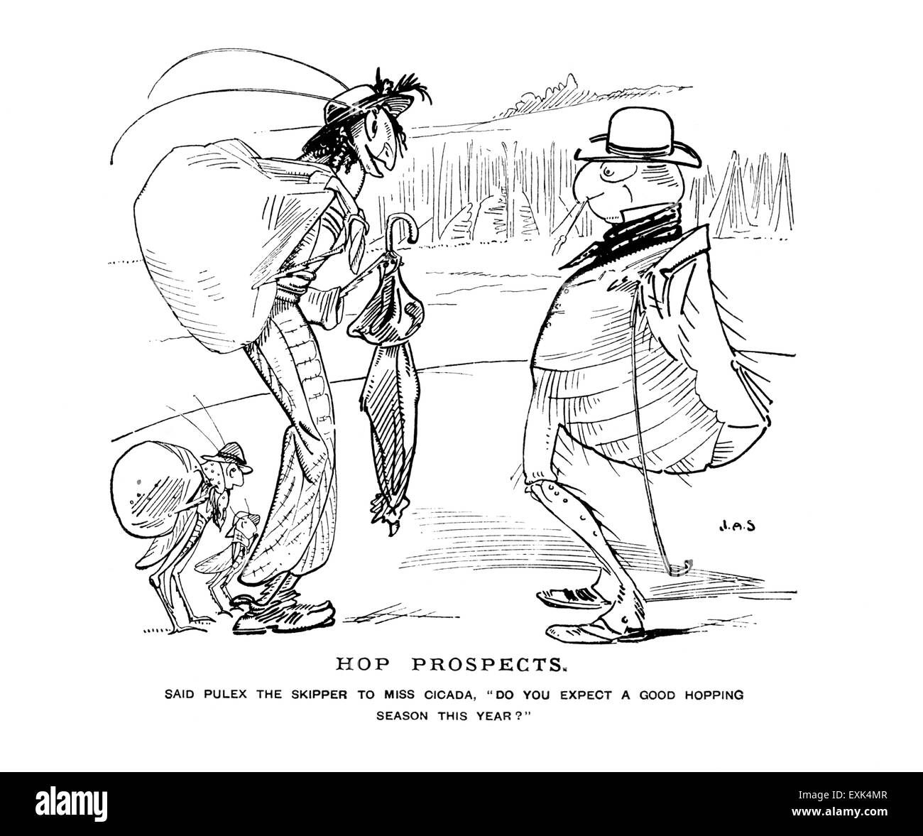 Victorienne de 1895 illustration amusante par J un berger, "Hop perspectives" Banque D'Images