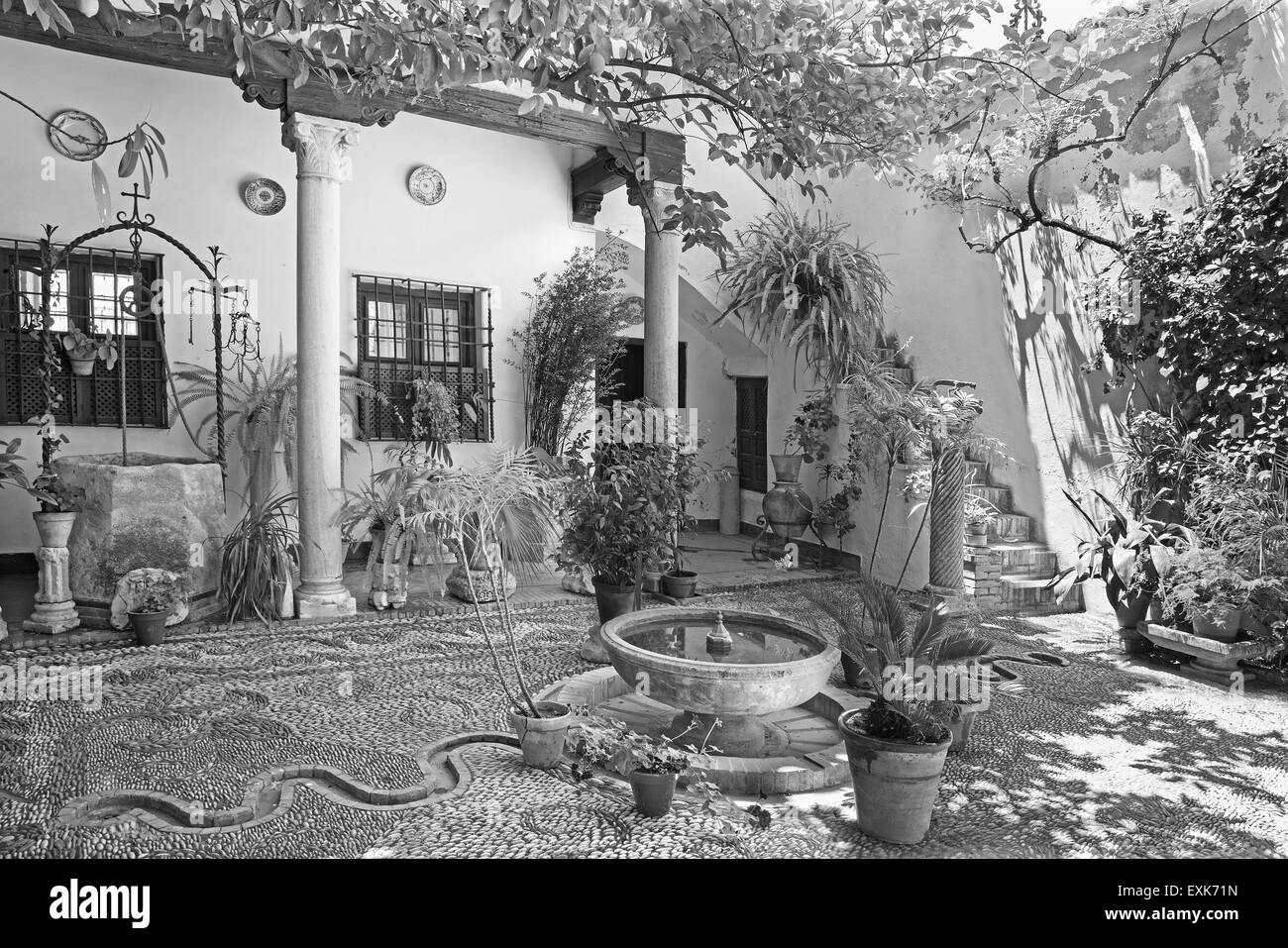 Cordoue, Espagne - 26 MAI 2015 : Le treditonal yard (vert) de pacio house Casa de los Luna sur la Plaza de San Andres square ere Banque D'Images