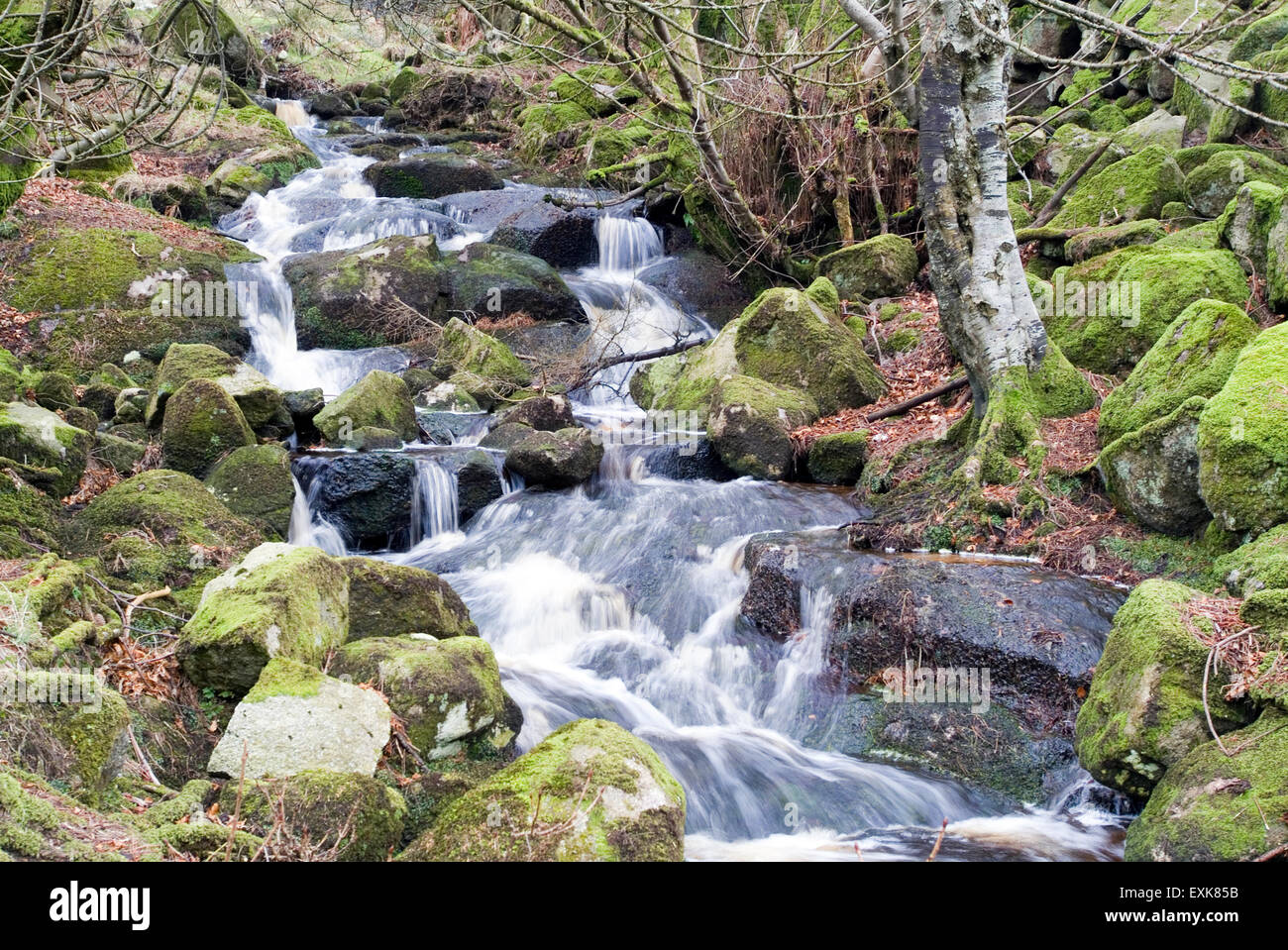 Wicklow mountains cascade, l'Irlande, Europe Banque D'Images