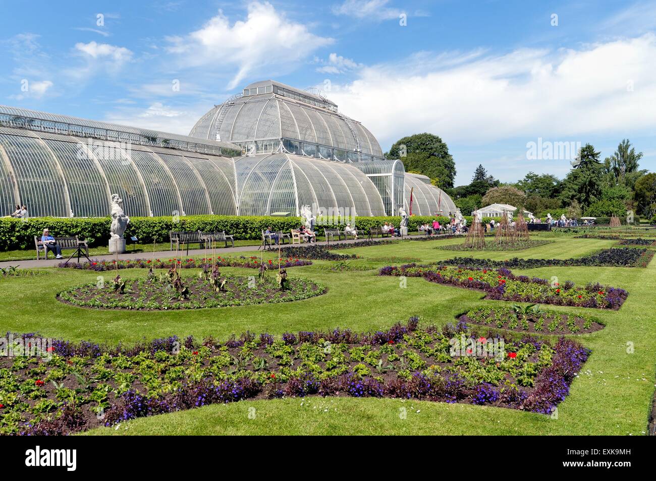Palm house à Kew Royal Botanical Gardens Londres Banque D'Images