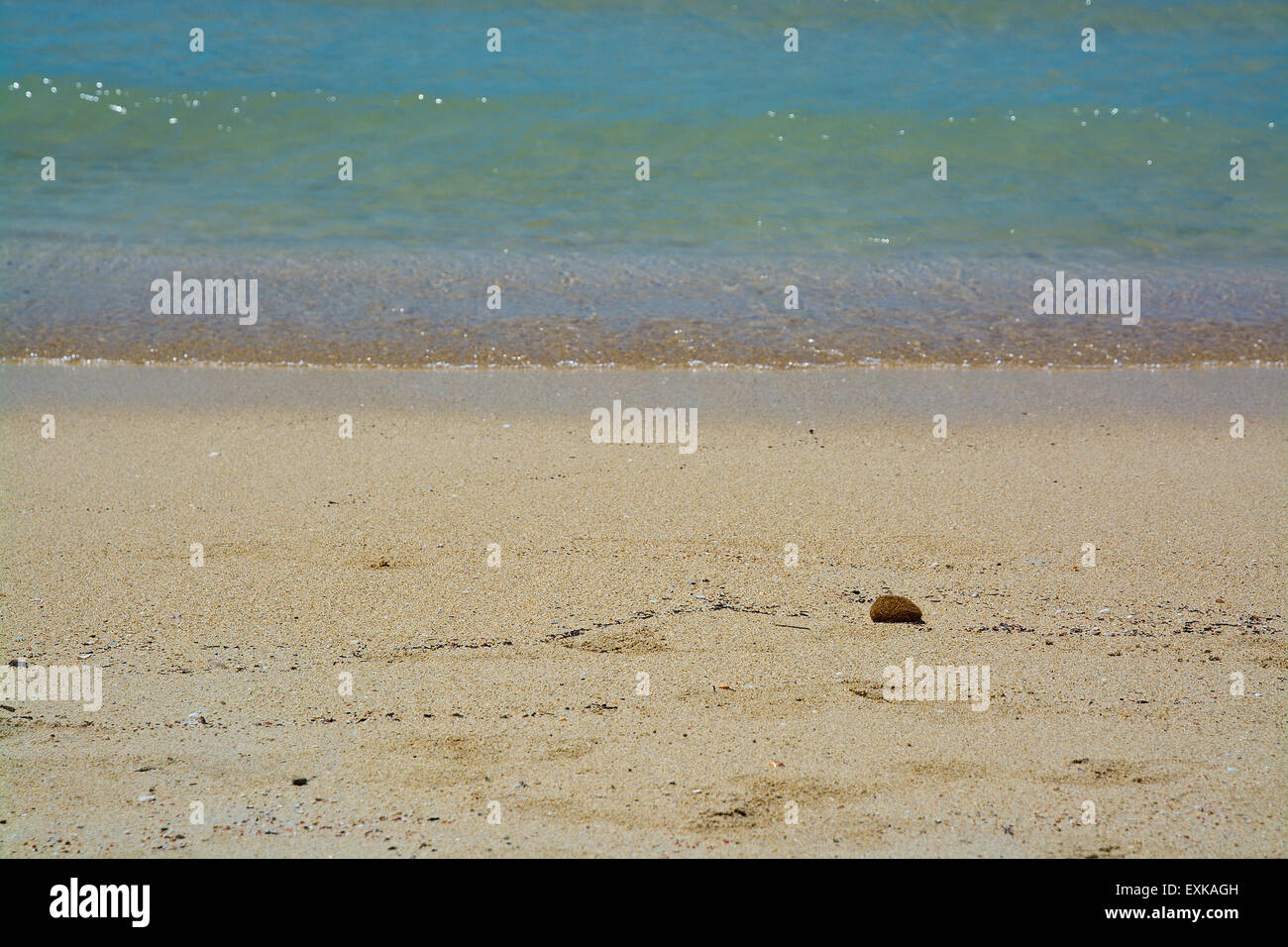 Petite Boule de fibre sur une plage de sable, à Majorque, îles Baléares, Espagne. Banque D'Images