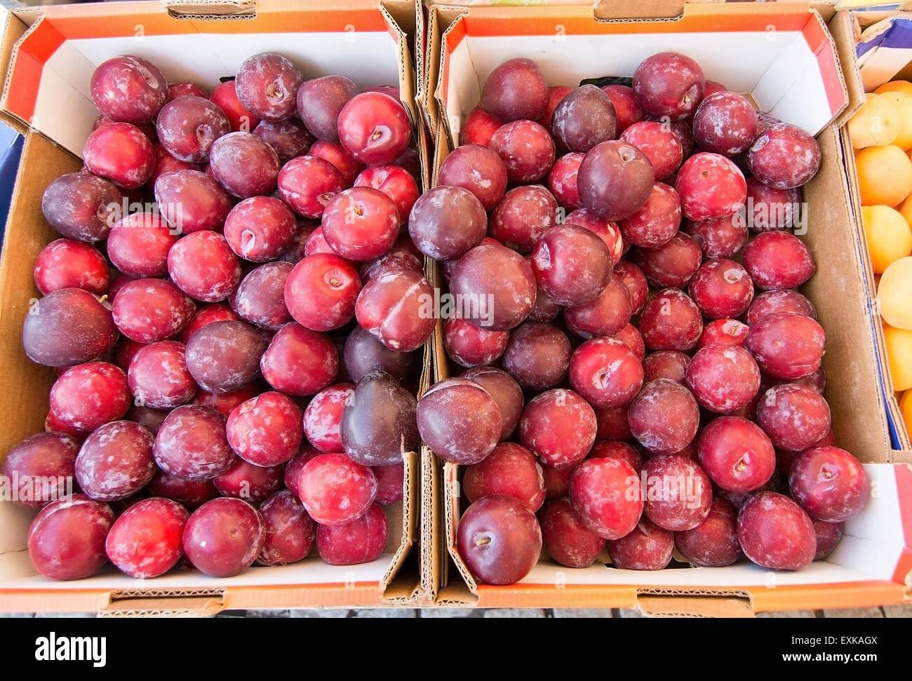Prunes rouges. Heap de pruniers dans un marché agricole. Banque D'Images