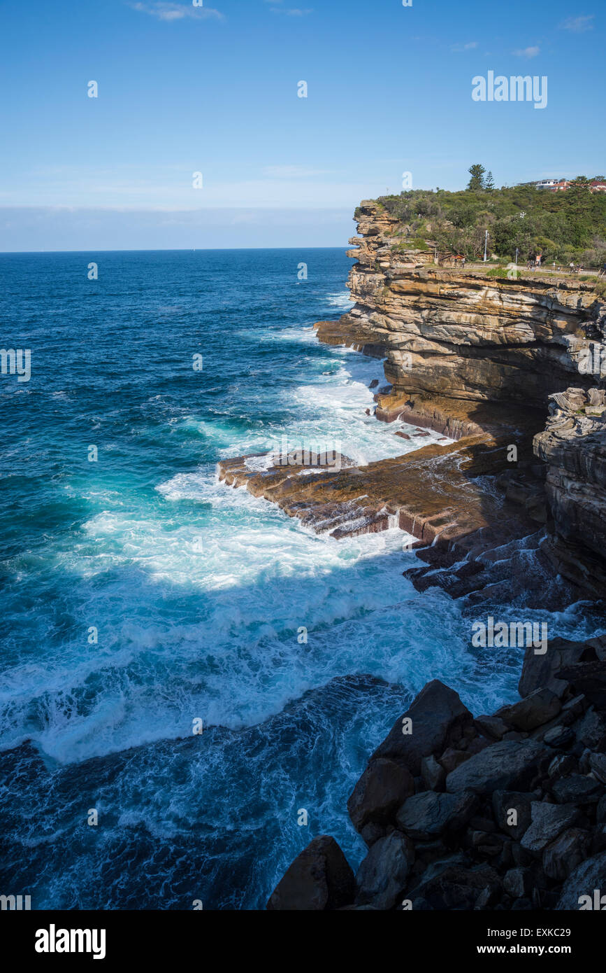 Watson Bay, l'écart Bluff, Sydney, Australie Banque D'Images