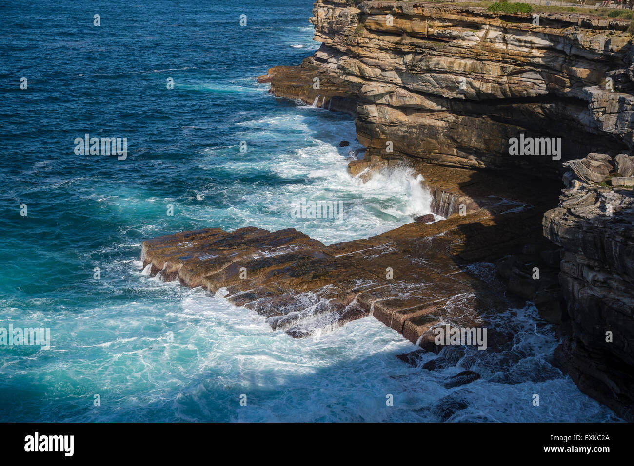 Watson Bay, l'écart Bluff, Sydney, Australie Banque D'Images