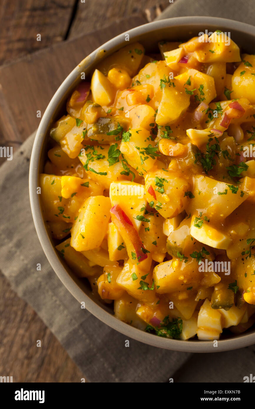 Sauce barbecue Salade de pommes de terre avec Oignons et oeufs Banque D'Images