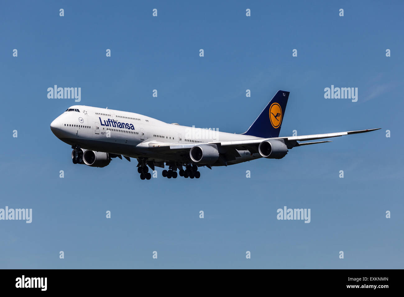 Boeing 747-8 avion de la compagnie aérienne allemande Lufthansa qui est basée à Francfort. 10 juillet 2015 à Francfort-sur-Main, Allemagne Banque D'Images