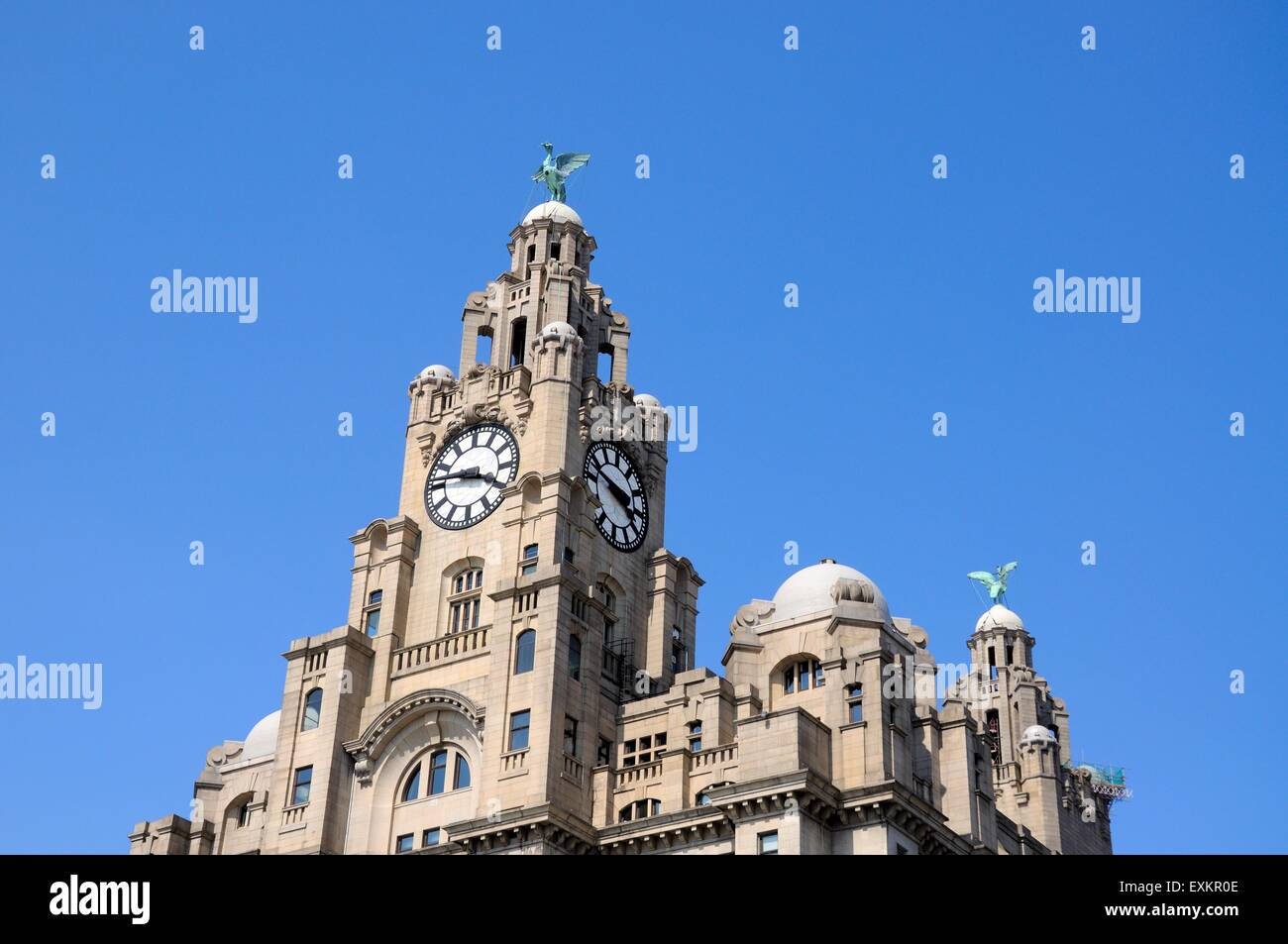 Le Royal Liver Building tour de l'horloge et d'oiseaux du foie à Pier Head, Liverpool, Merseyside, England, UK, Europe de l'Ouest. Banque D'Images
