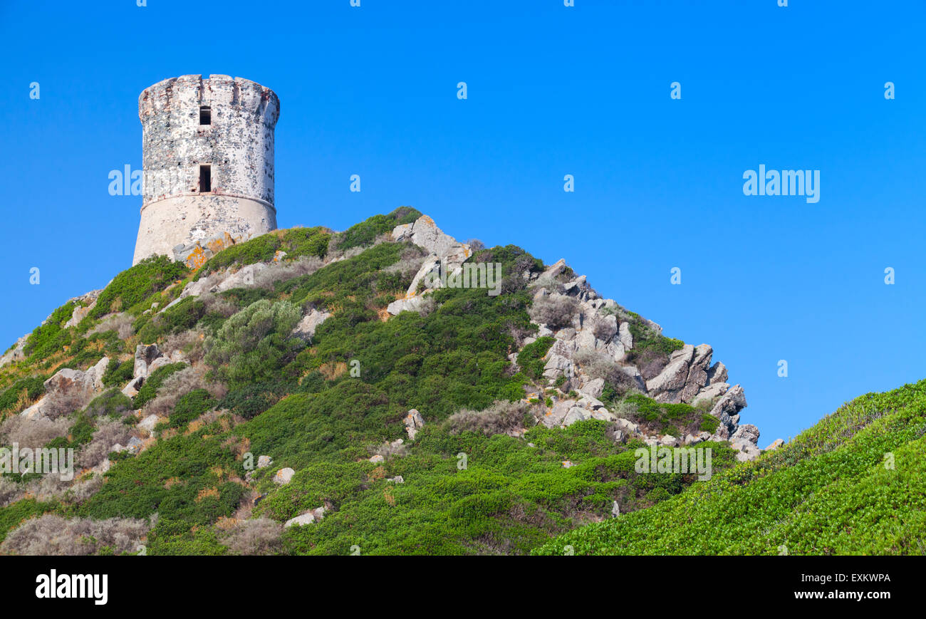 La tour Parata. L'ancienne tour génoise sur l'île Sanguinaires près d'Ajaccio, Corse, France Banque D'Images