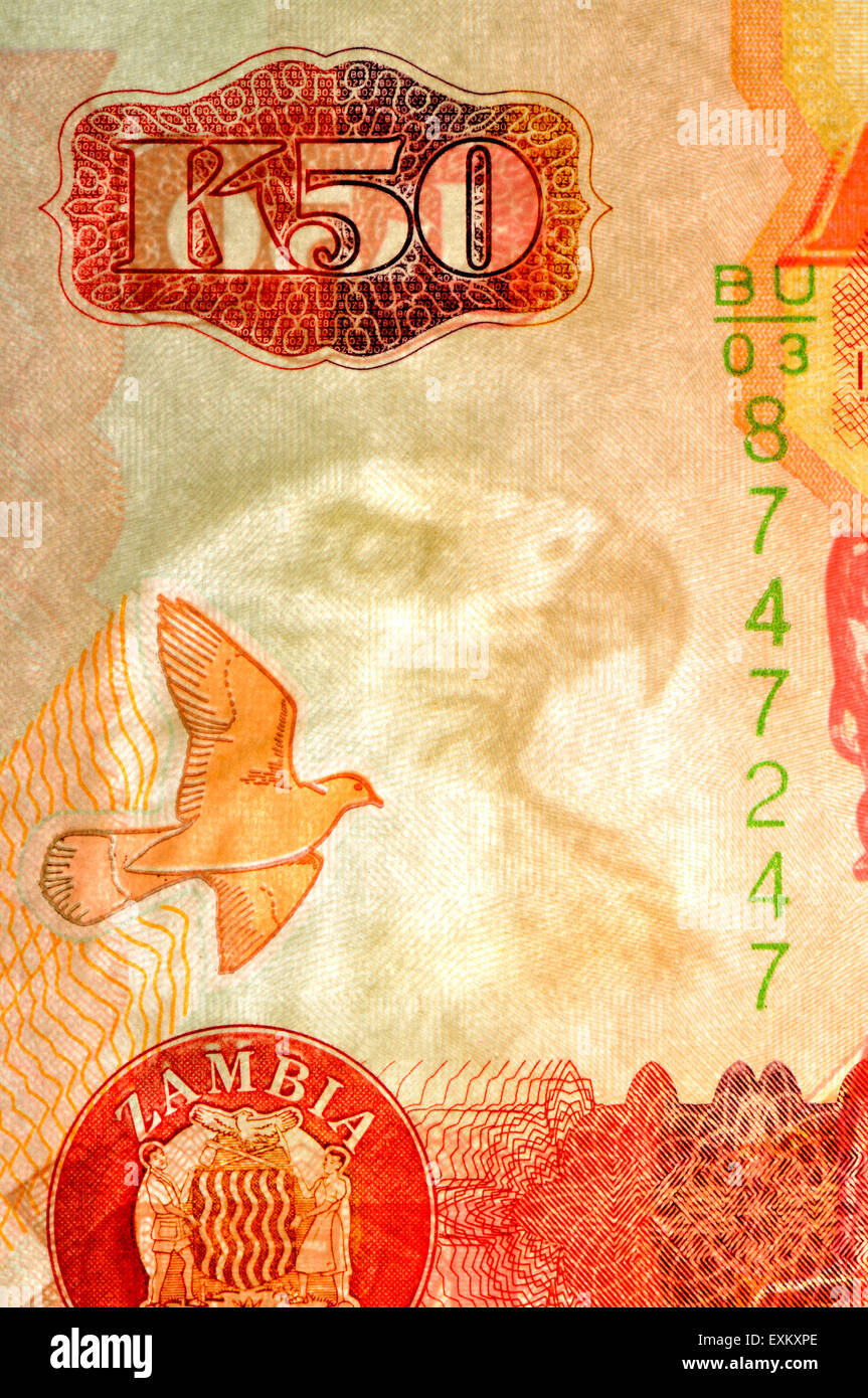 Détail d'un billet de 50 Kwacha zambien (2009) montrant un aigle filigrane Banque D'Images