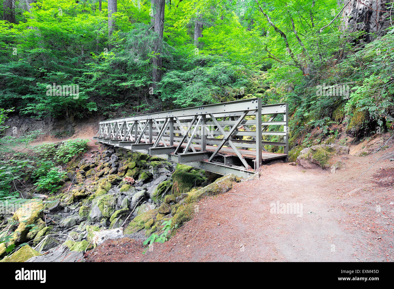 Passerelle pour piétons à Falls Creek Sentier de randonnée dans la Forêt Nationale Gifford Pinchot Washington Banque D'Images