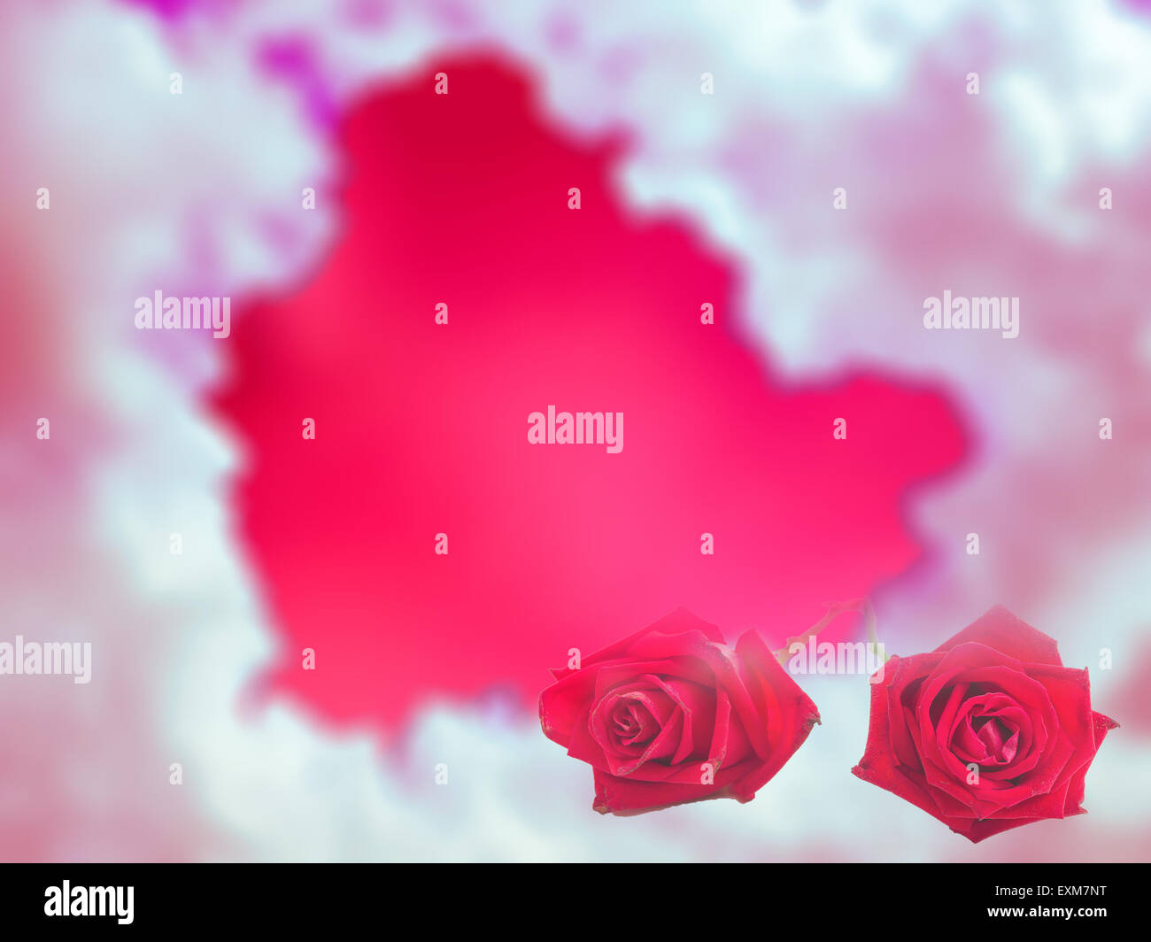 Rose Rouge ciel flou sur fond de nuage en forme de coeur Banque D'Images