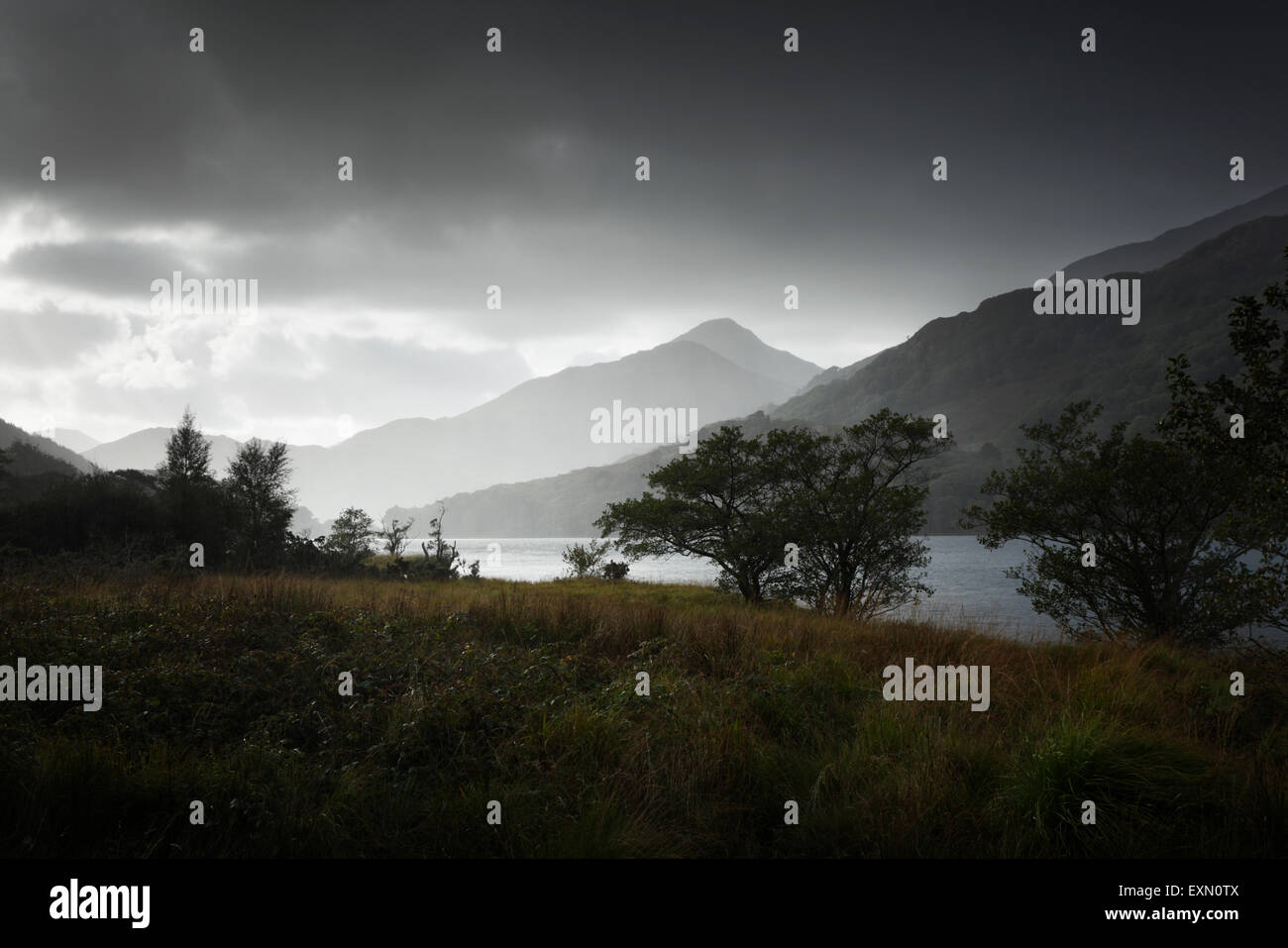 La rive du Llyn Gwynant. Le Parc National de Snowdonia. Gwynedd. Le Pays de Galles. UK. Banque D'Images