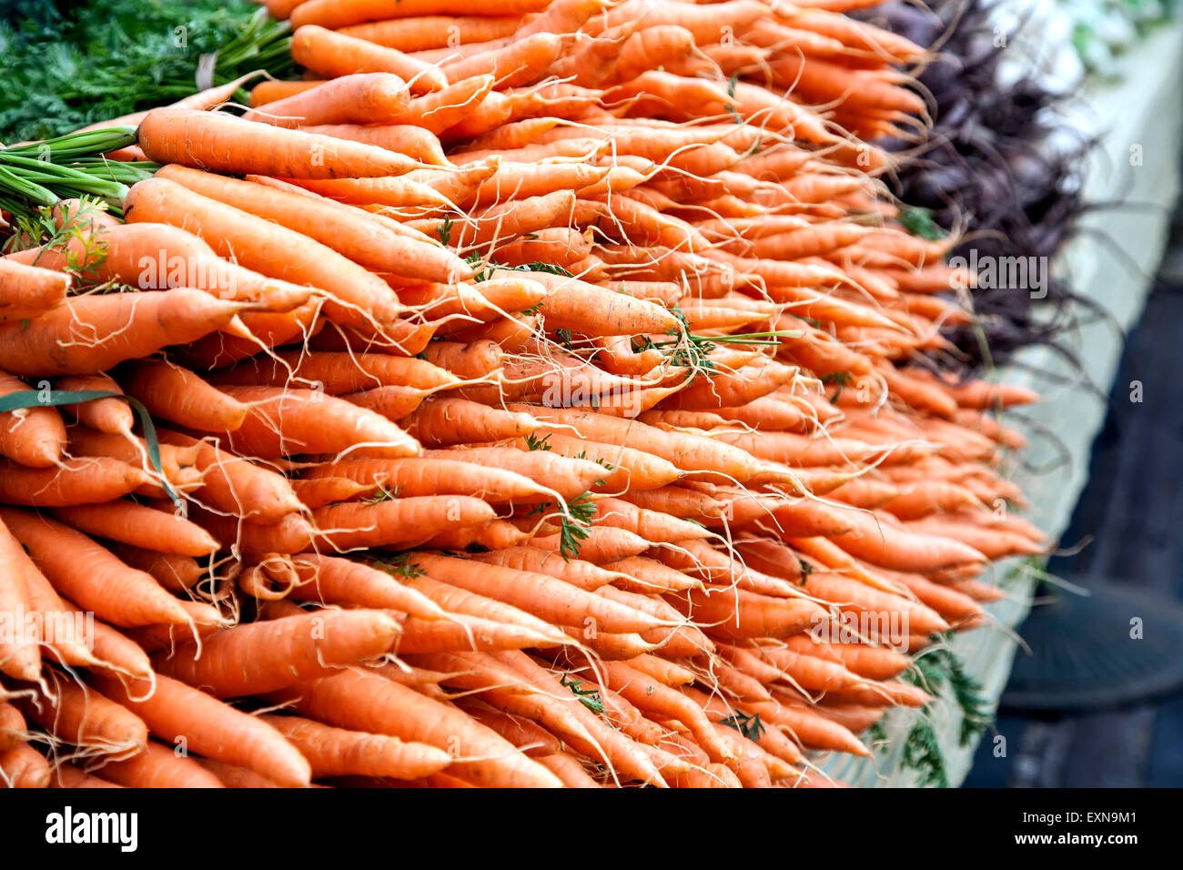 Les carottes, Farmers' Market, Quartier Gare, Santa Fe, Nouveau Mexique USA Banque D'Images