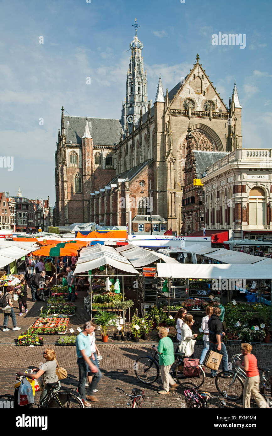 Farmers Market et de l'Église Saint-bavon (Grote Kerk), Grote Markt, Haarlem, Pays-Bas Banque D'Images