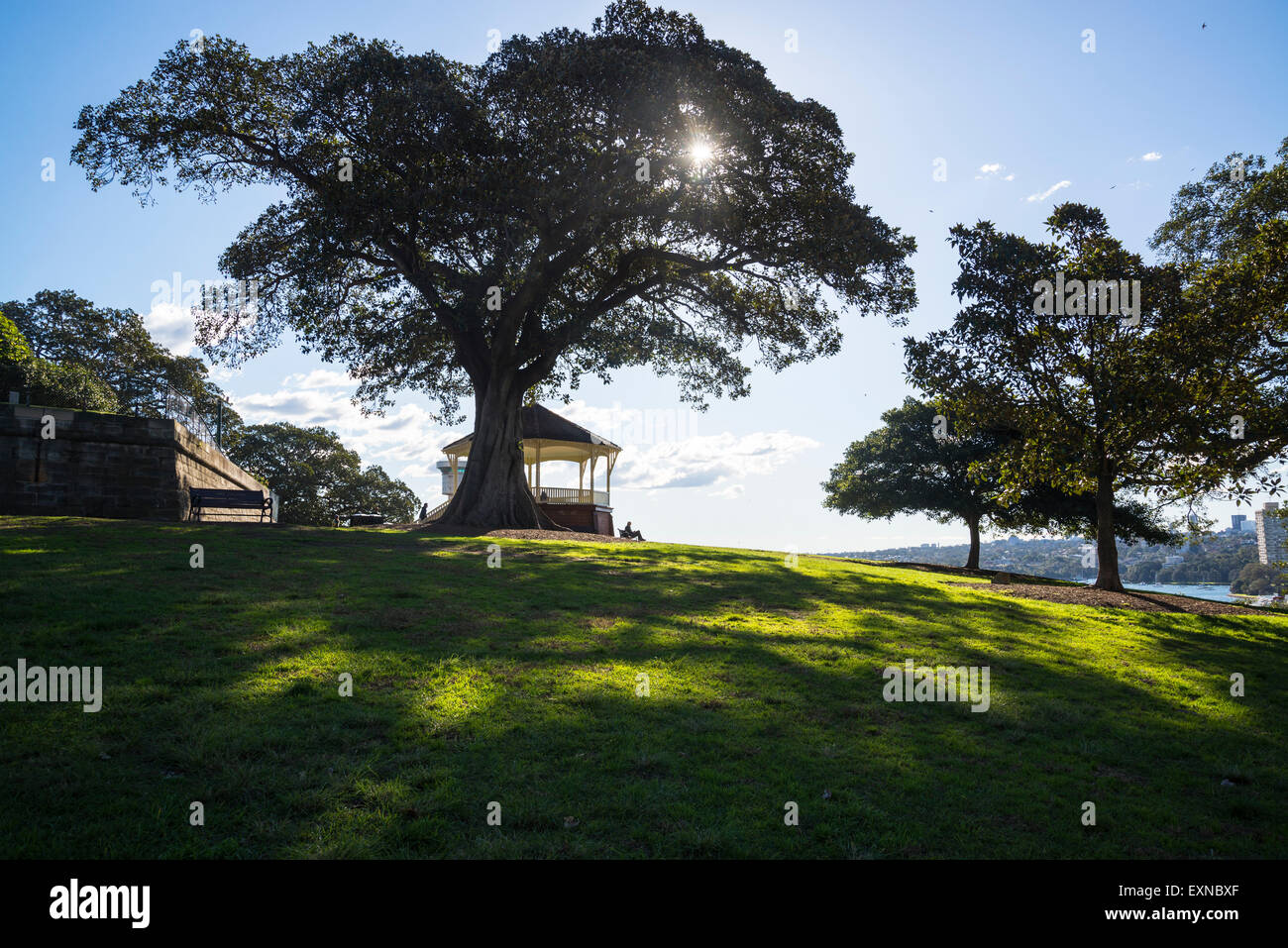 Observatory Hill, Sydney, Australie Banque D'Images