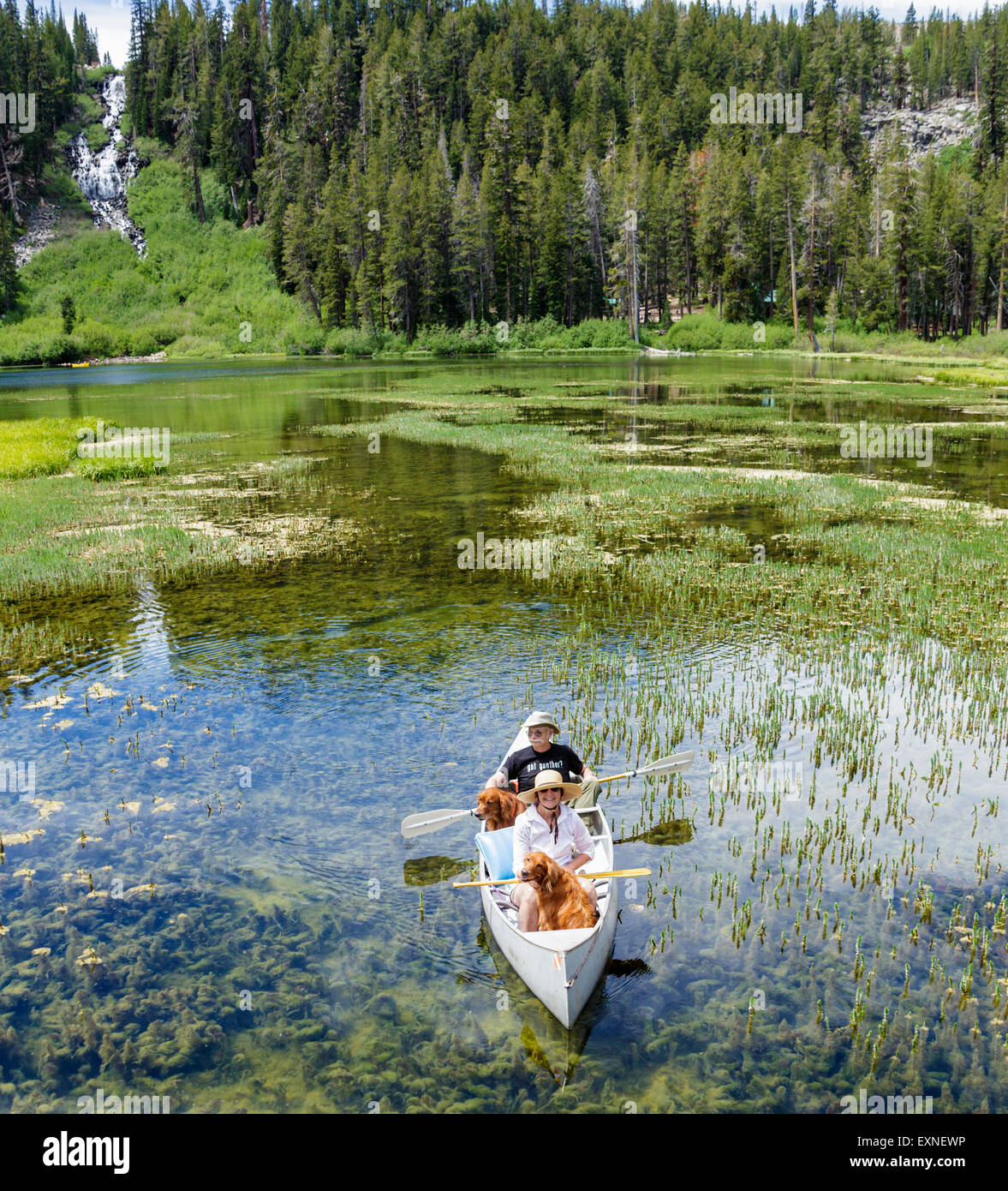 Couple partager canoë avec les chiens dans les lacs Twin dans la région de Mammoth Lakes Basin dans l'Est de la Sierra Banque D'Images
