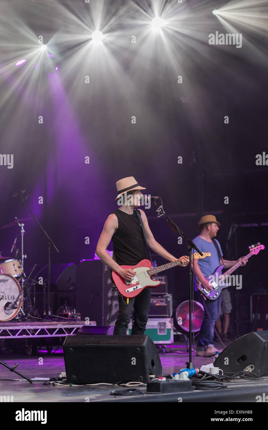 Great Tew, Oxfordshire, UK. 10 juillet, 2015. Henri Salvador sur scène à Cornbury festival 2015 Banque D'Images