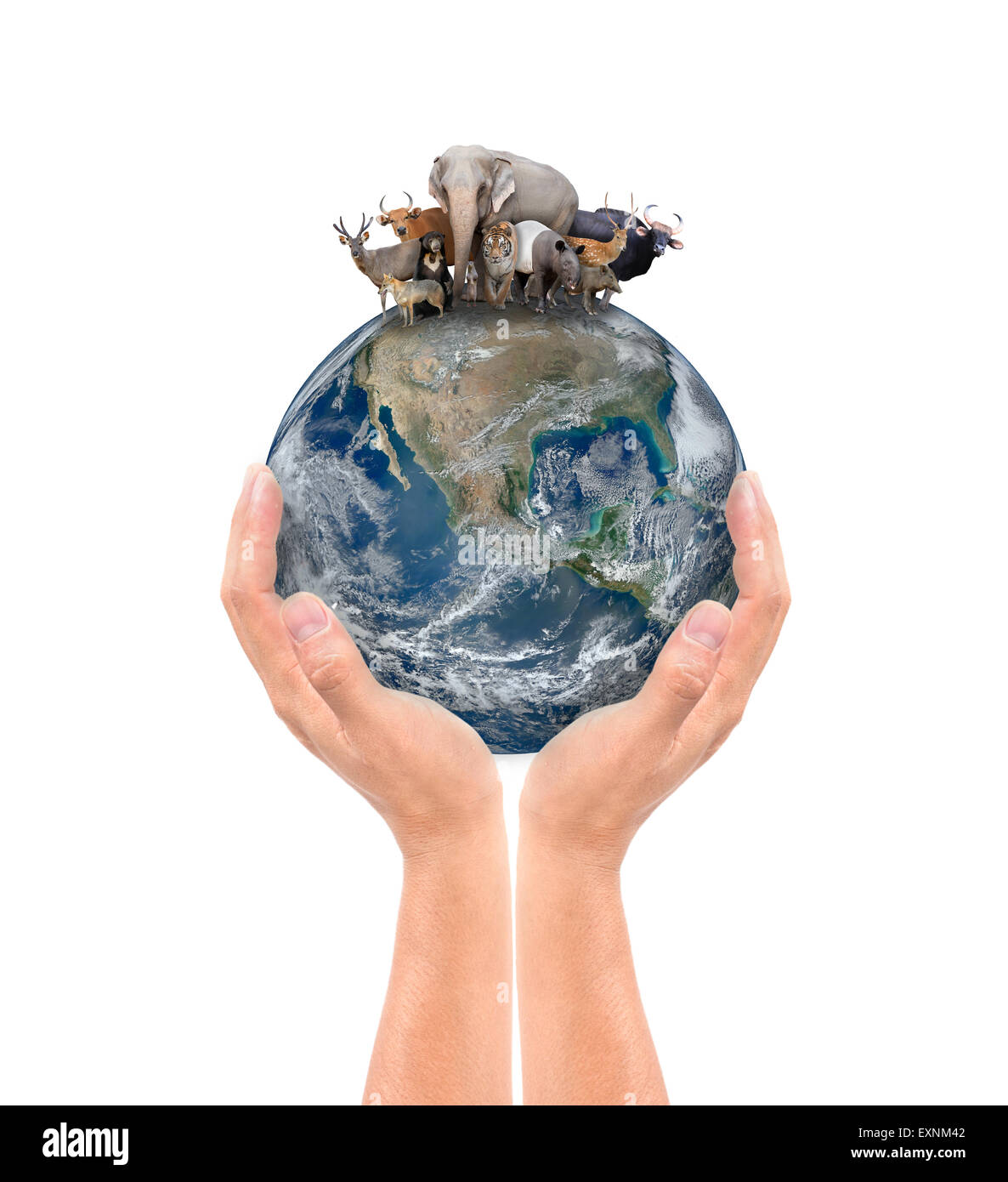 Tenir la main sur des animaux de la terre, élément de cette image sont meublées par la NASA Banque D'Images
