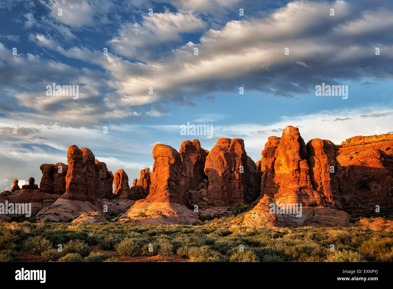 La lumière de fin de soirée sur le jardin d'Eden rock formations in Utah's Arches National Park. Banque D'Images