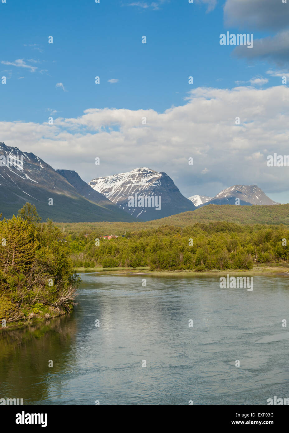 Les montagnes et la forêt de la Norvège sous le ciel bleu. Banque D'Images