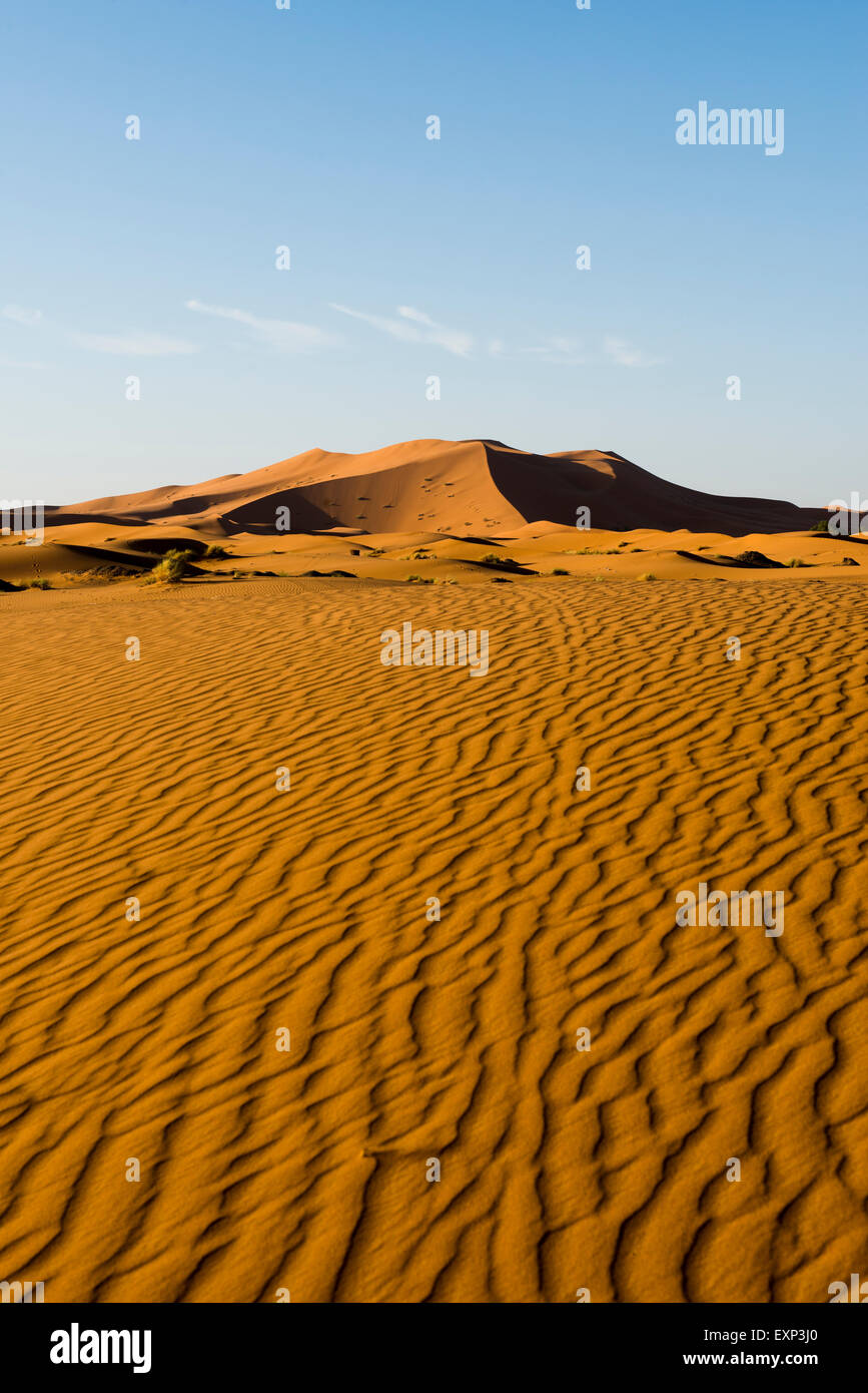 Dunes de sable dans la lumière du matin, Merzouga, Maroc, région de Meknès-Tafilalet Banque D'Images