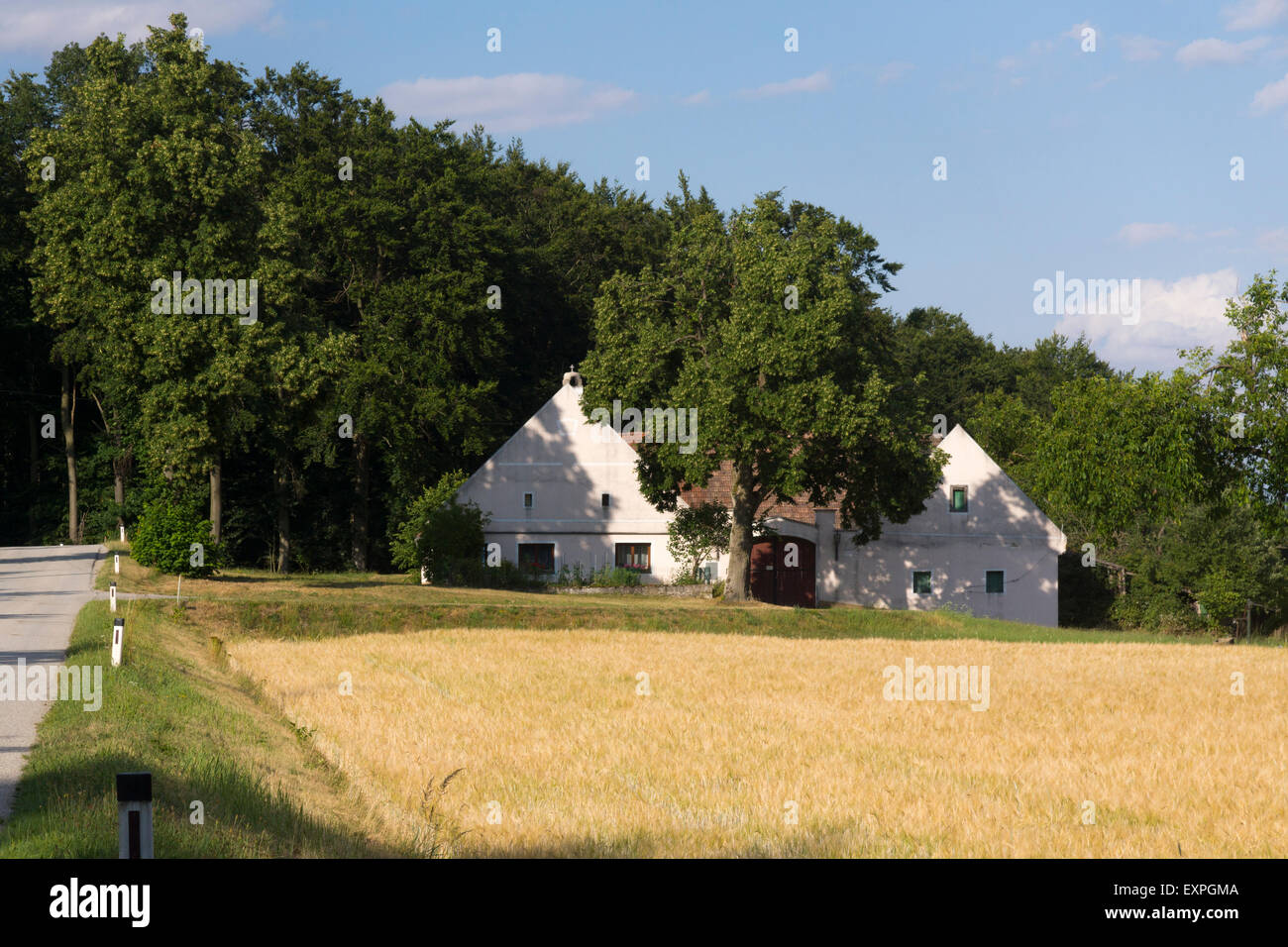 Typique d'une ferme près de Waldviertler Mittelberg en Basse Autriche en été Banque D'Images